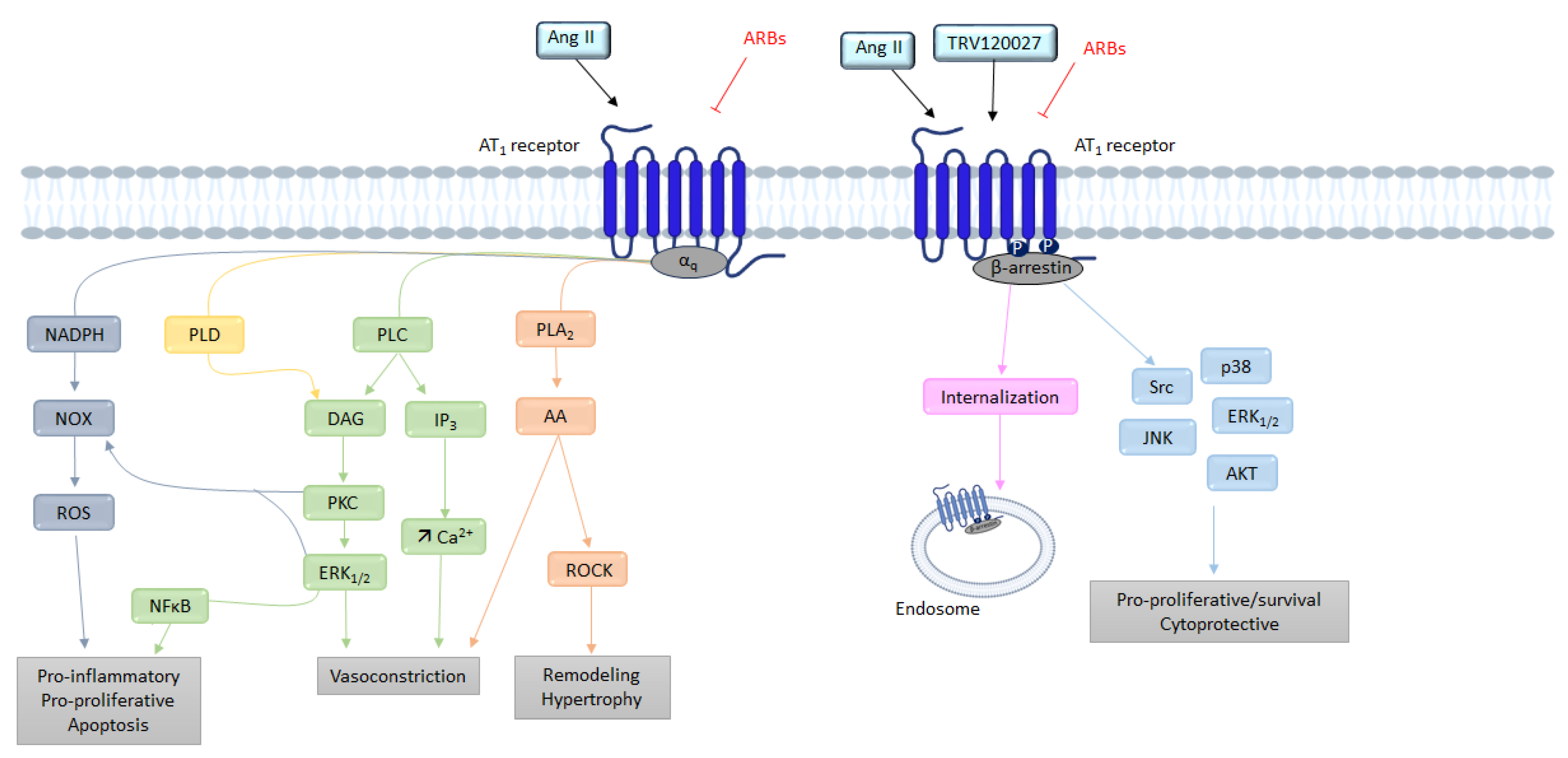 Molecules 28 05481 g003 Molecules 28 05481 g003