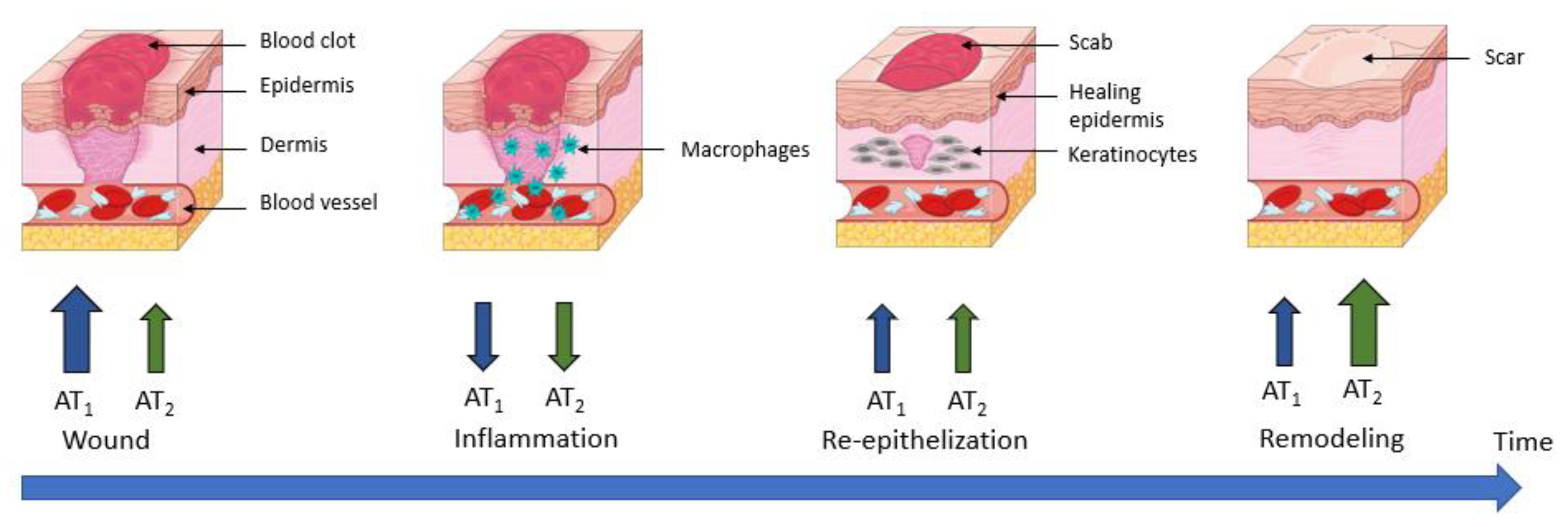 Molecules 28 05481 g007 Molecules 28 05481 g007