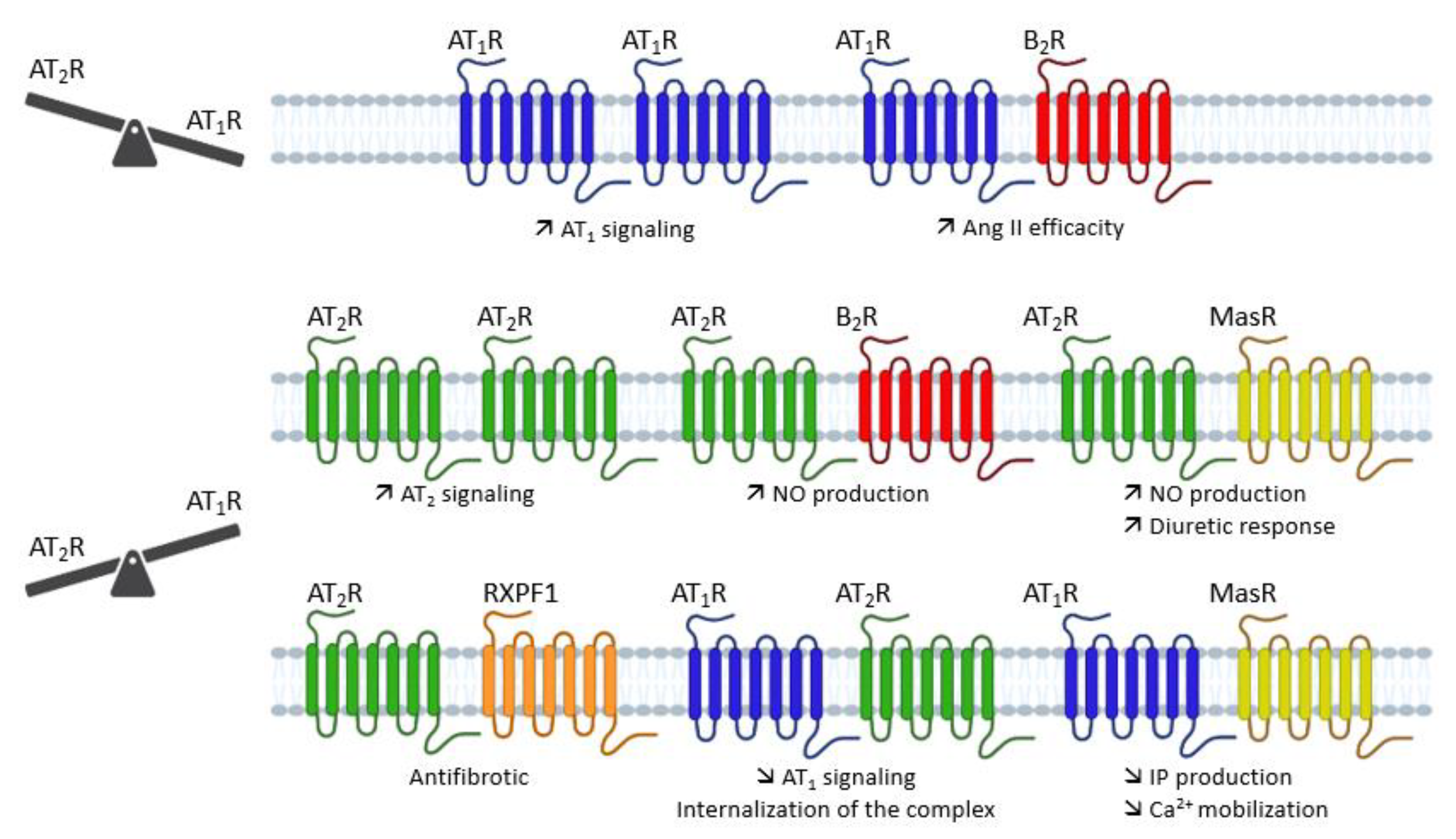 Molecules 28 05481 g008 Molecules 28 05481 g008