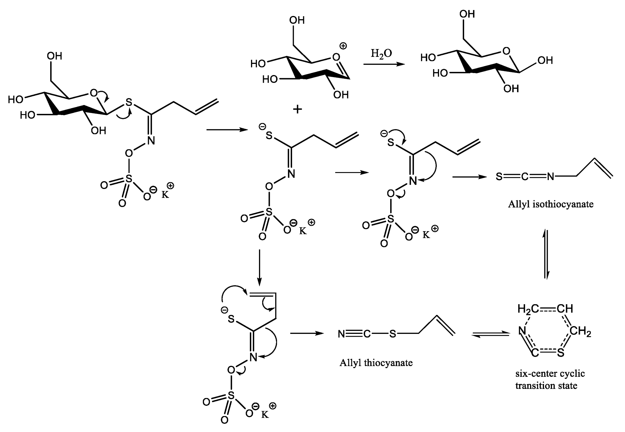 Molecules 28 05482 g003