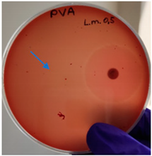 Molecules 28 05497 i001