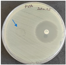 Molecules 28 05497 i002