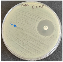 Molecules 28 05497 i003