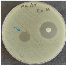 Molecules 28 05497 i006