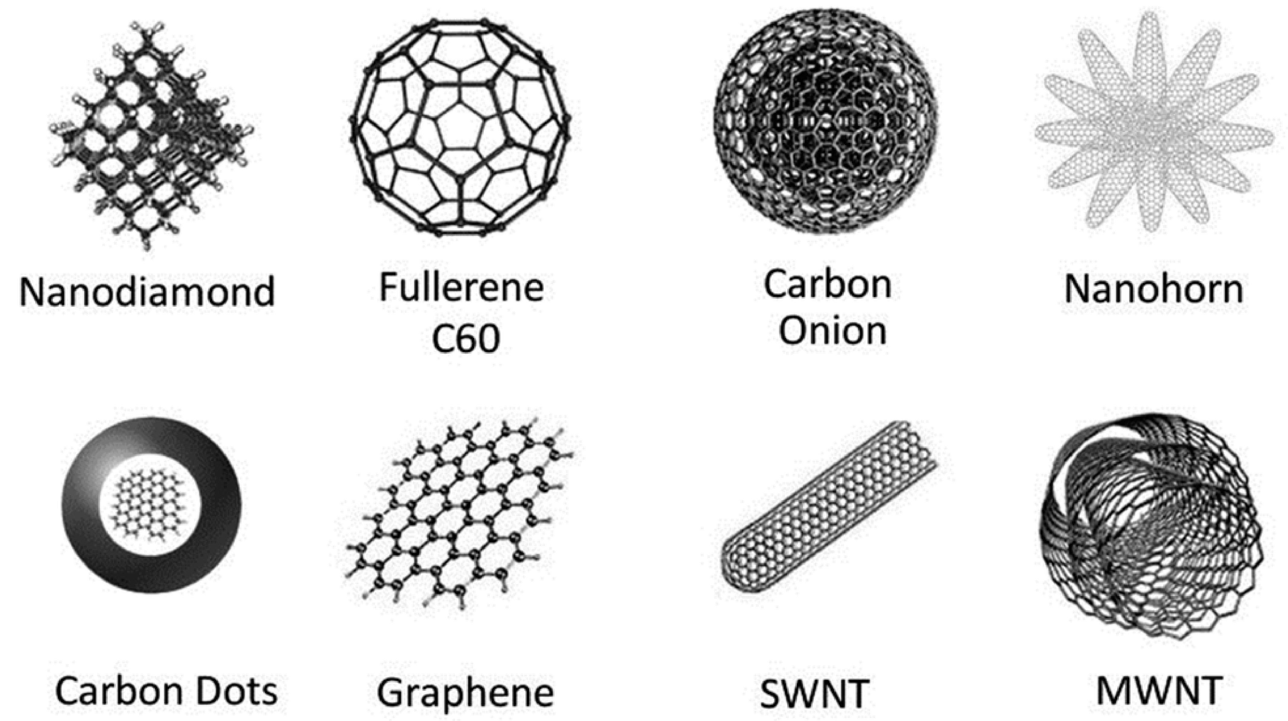 Molecules 28 05503 g002 Molecules 28 05503 g002