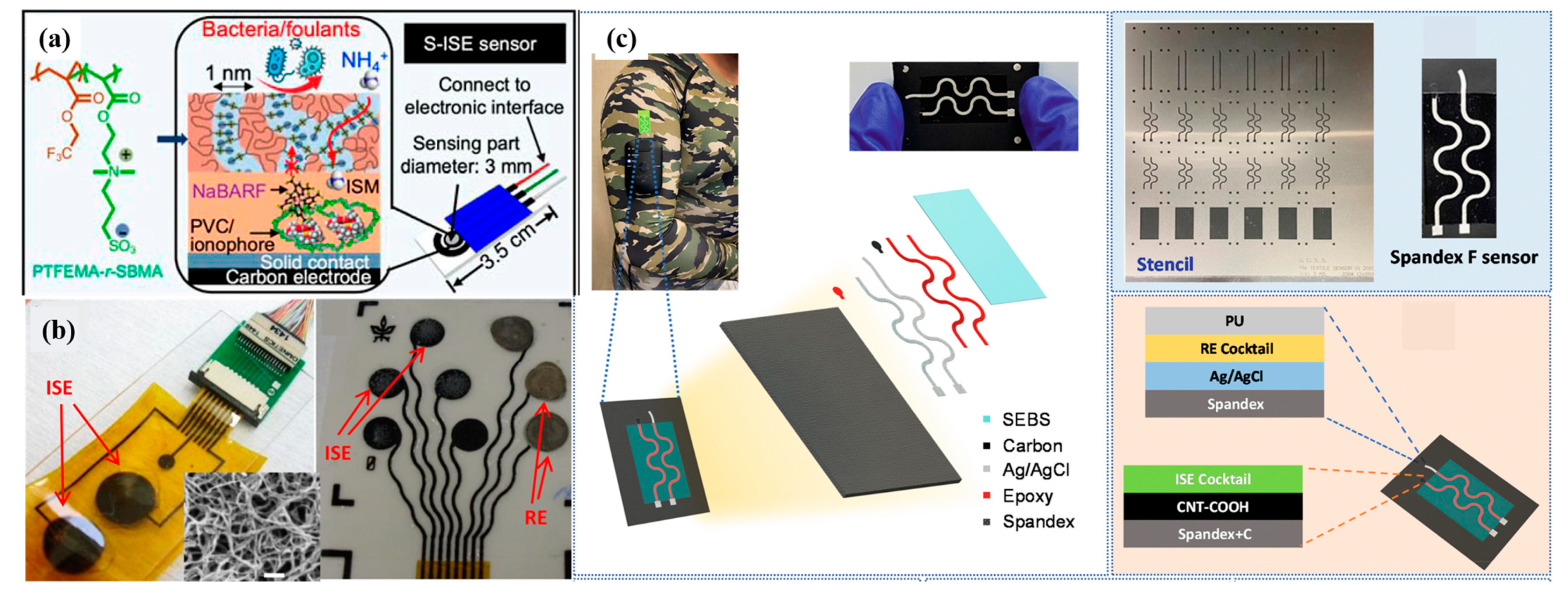 Molecules 28 05503 g003 Molecules 28 05503 g003