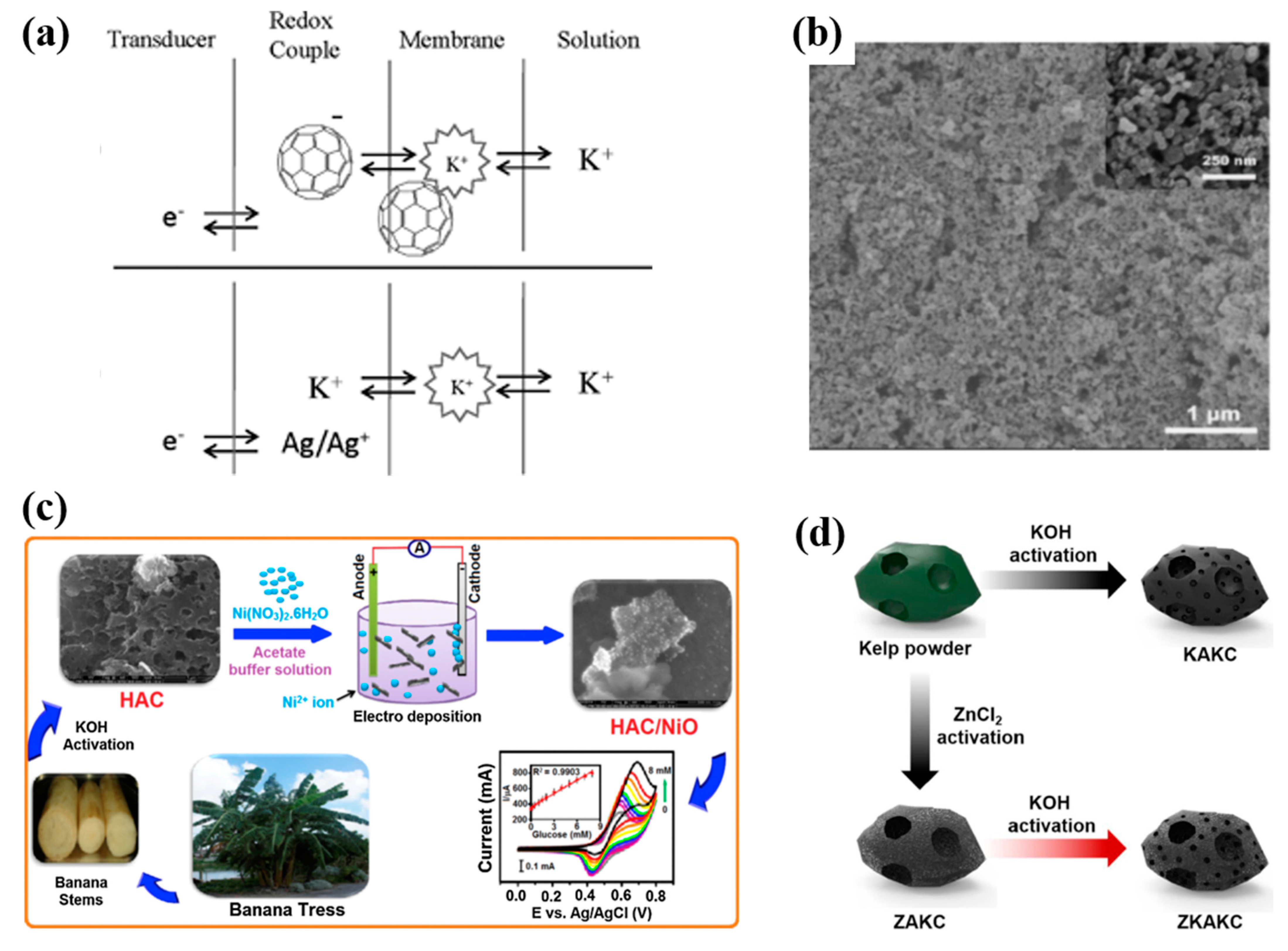 Molecules 28 05503 g007 Molecules 28 05503 g007