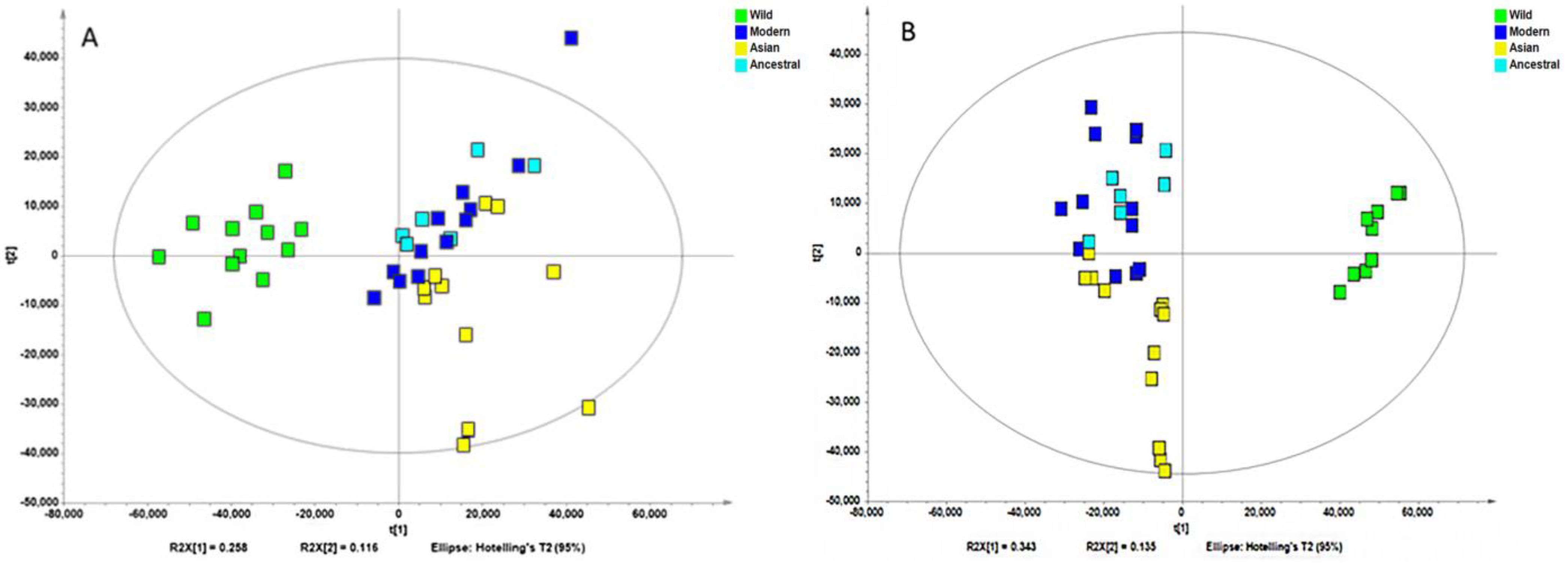 Molecules 28 05507 g003 Molecules 28 05507 g003
