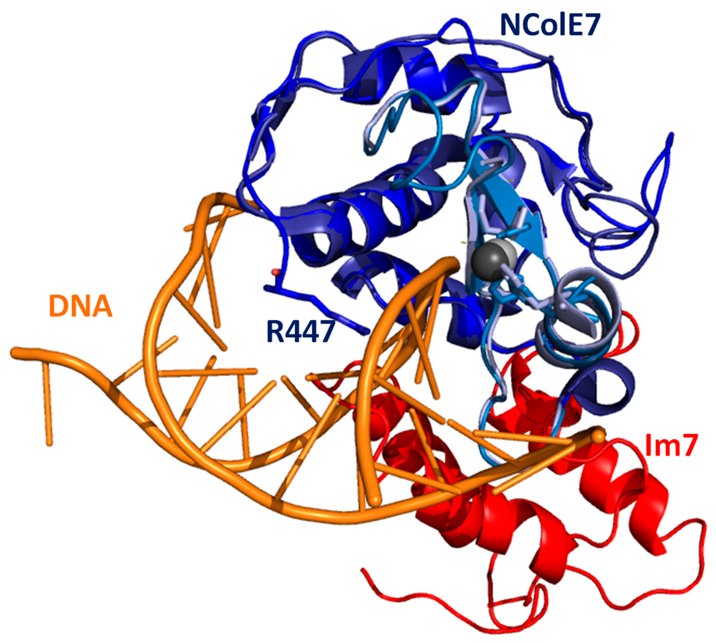 Molecules 28 05511 g001 Molecules 28 05511 g001