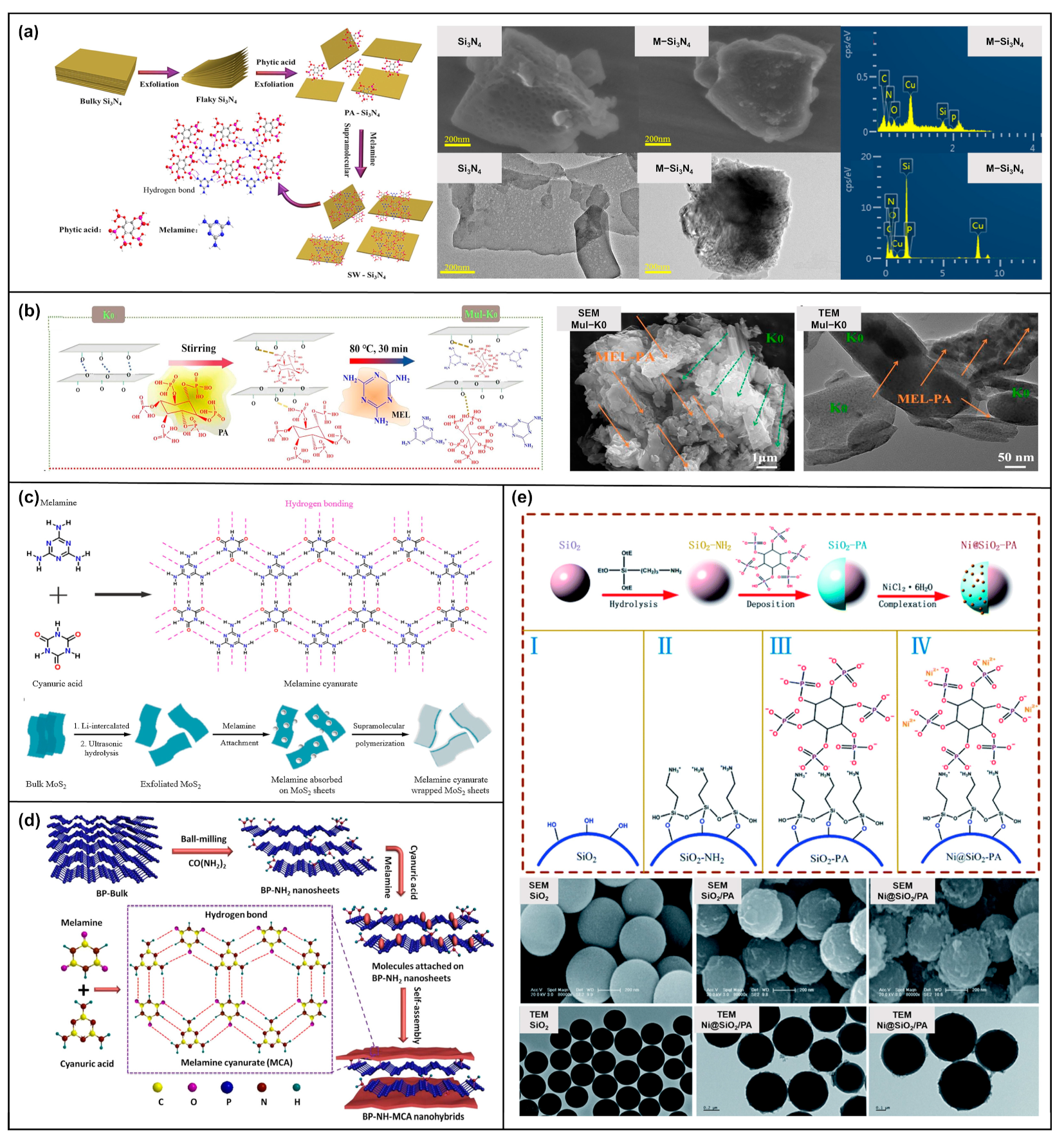 Molecules 28 05518 g007