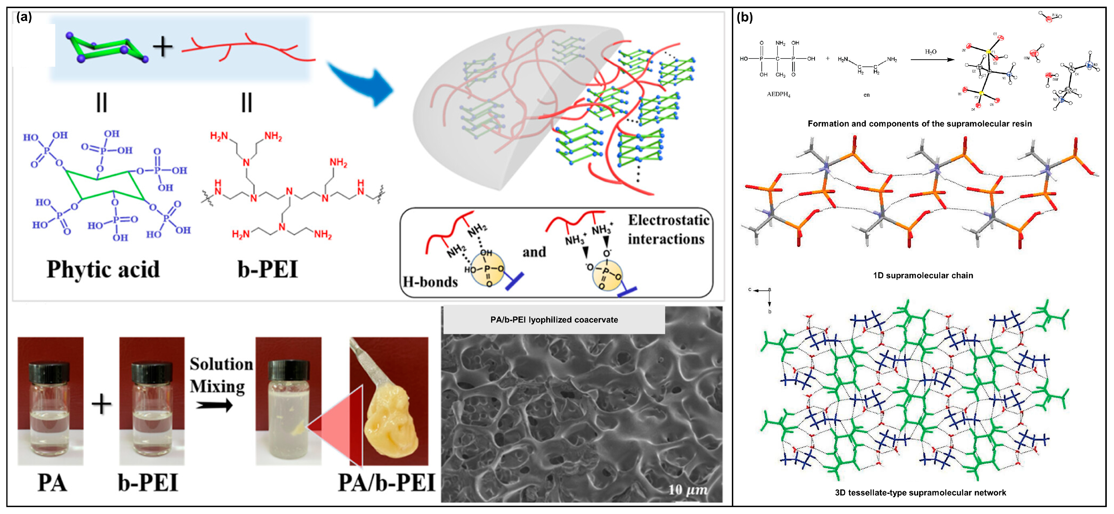 Molecules 28 05518 g008