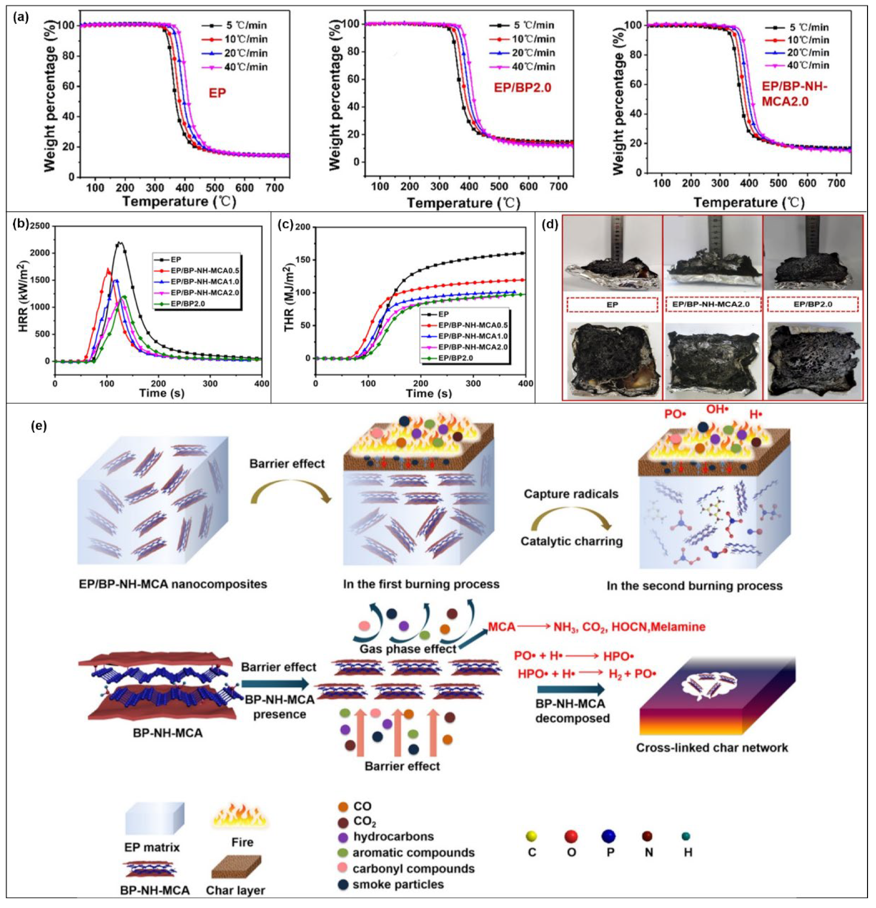 Molecules 28 05518 g010