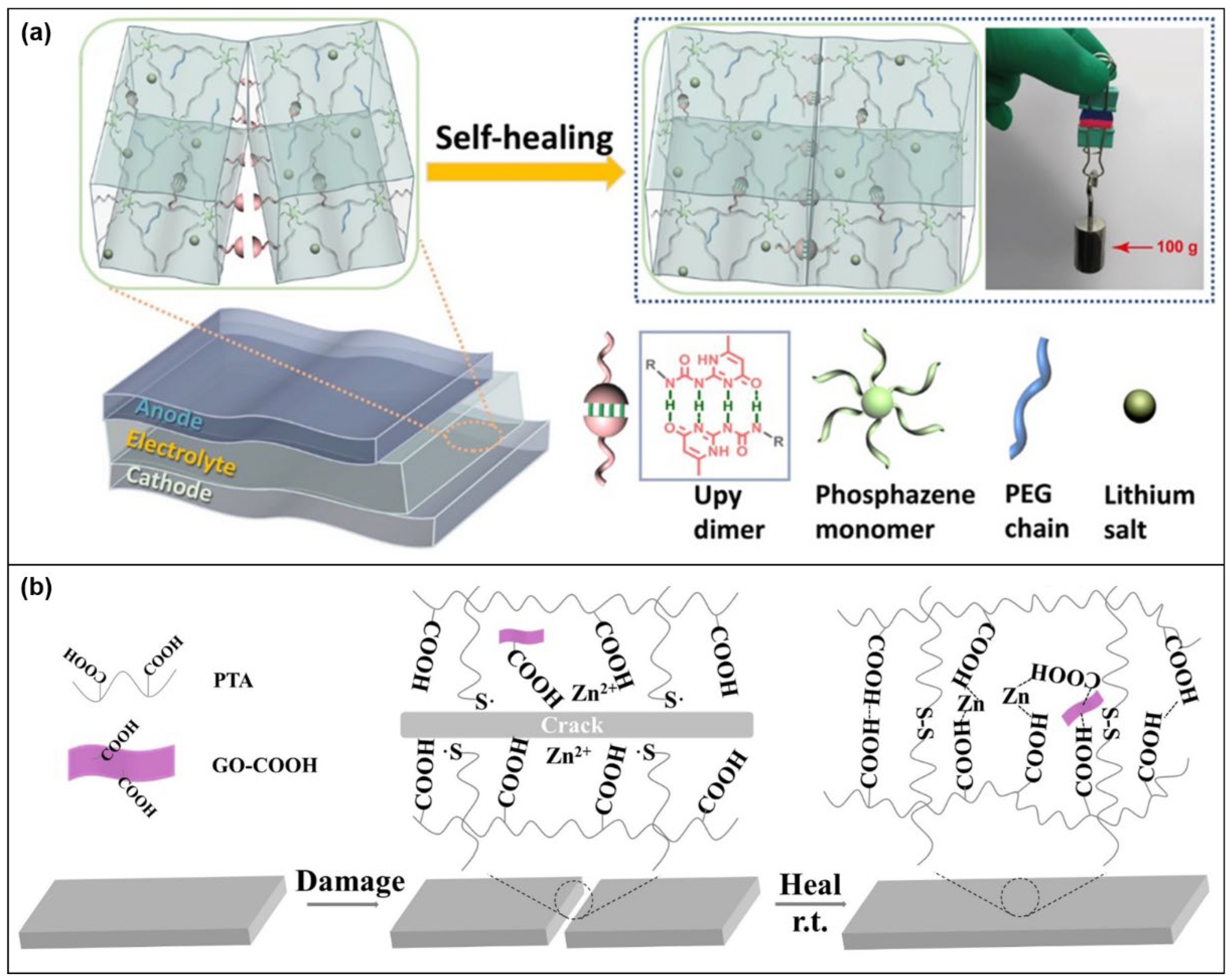 Molecules 28 05518 g022