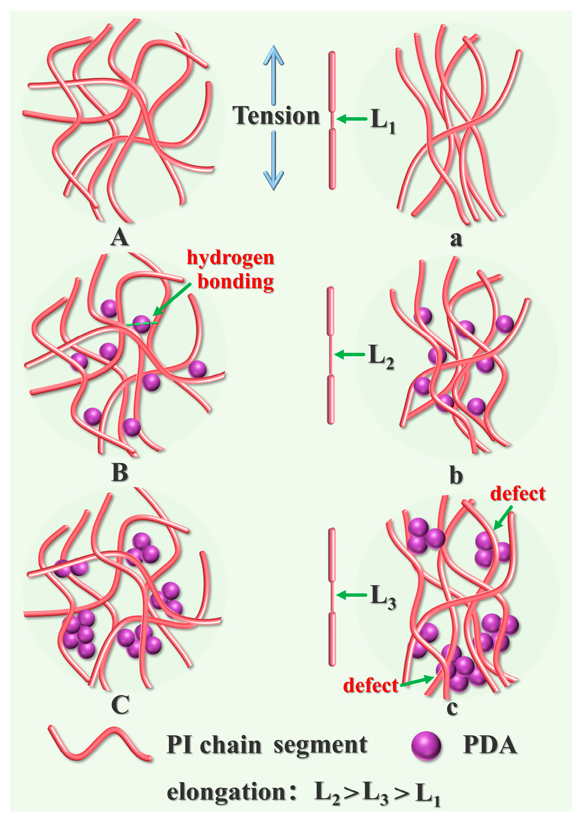 Molecules 28 05523 g005