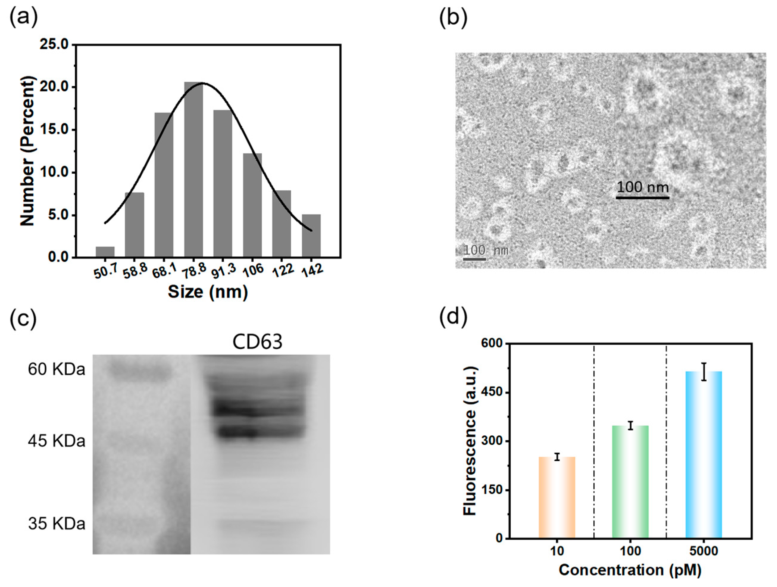 Molecules 28 05528 g005