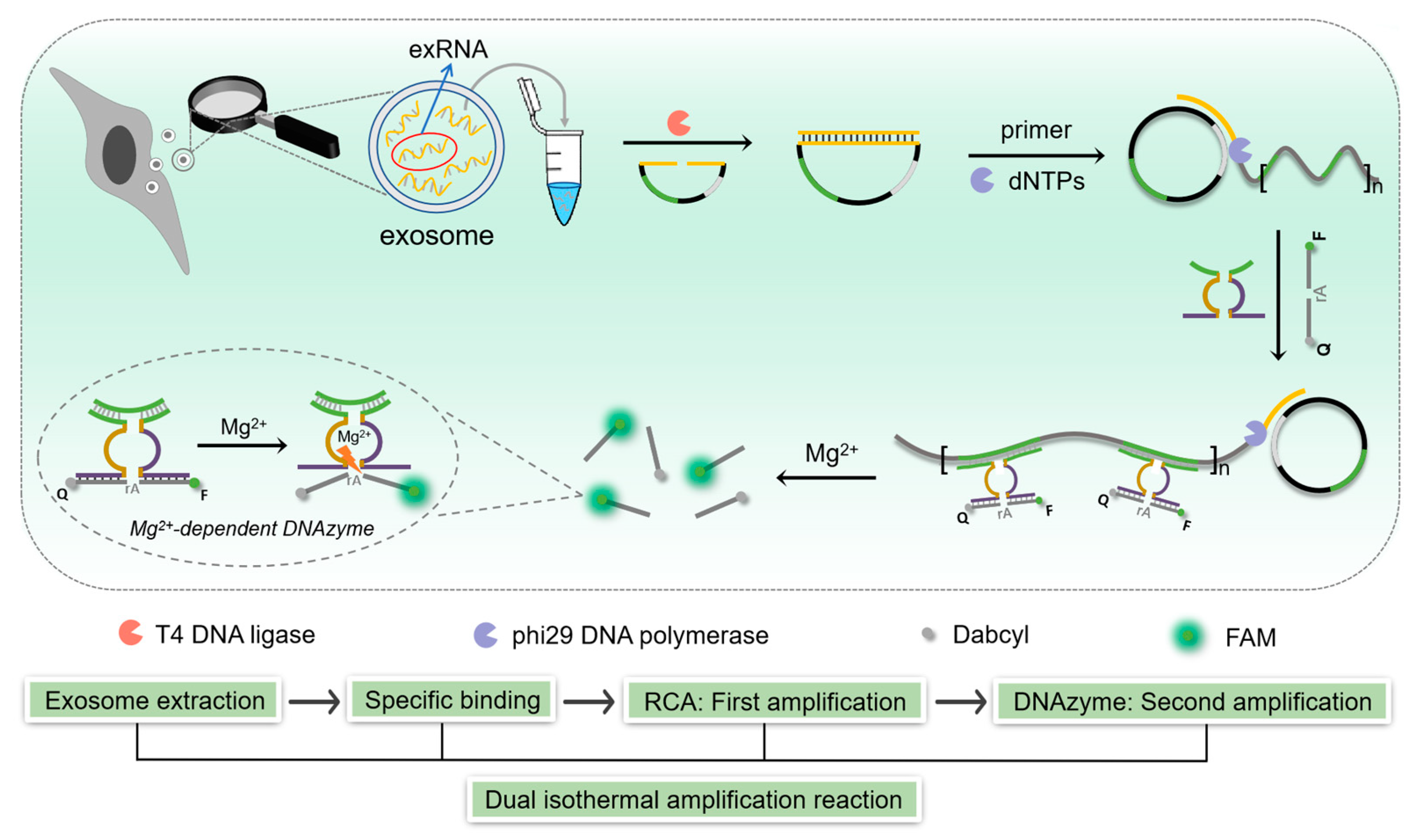Molecules 28 05528 sch001
