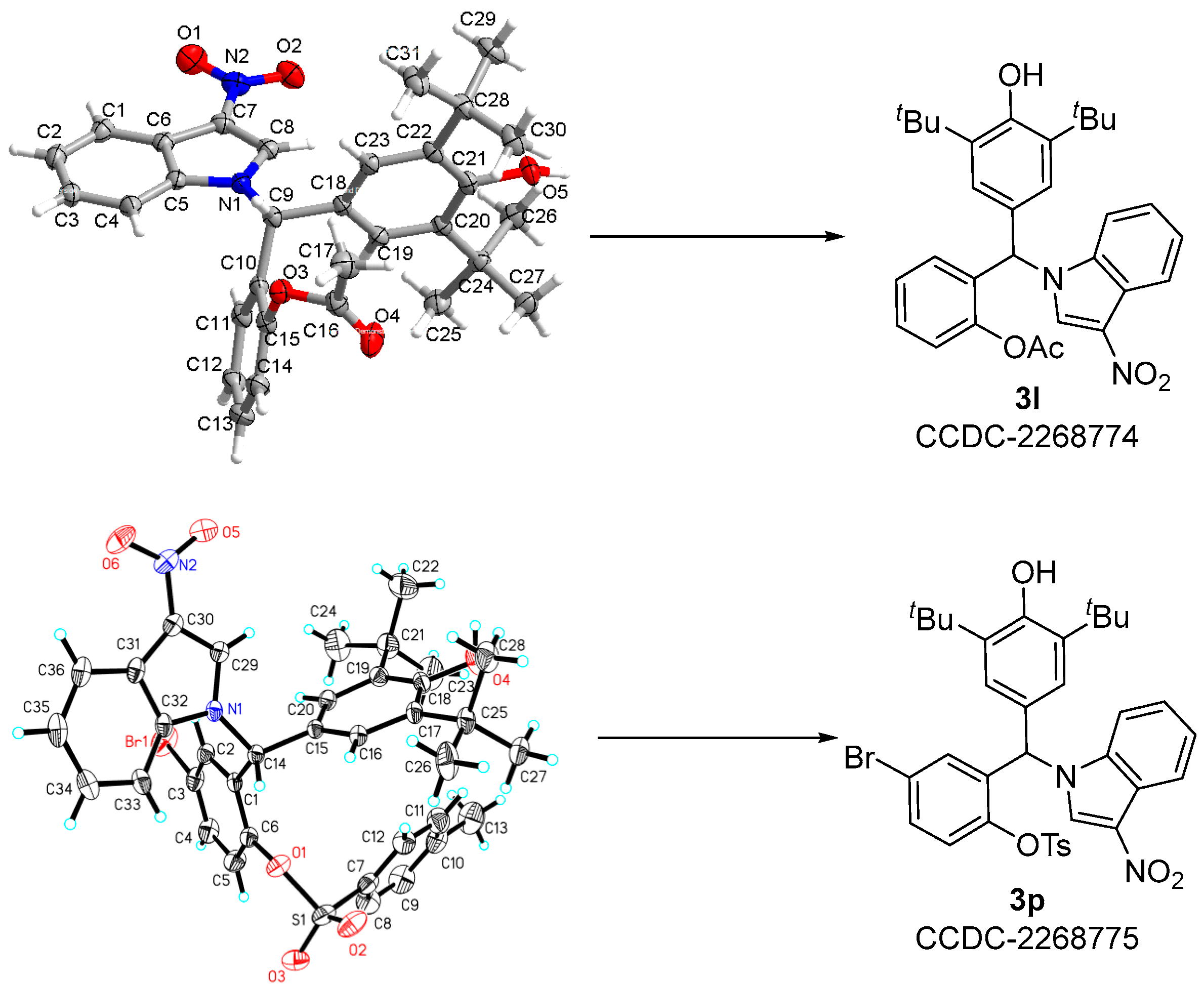 Molecules 28 05529 g001 Molecules 28 05529 g001