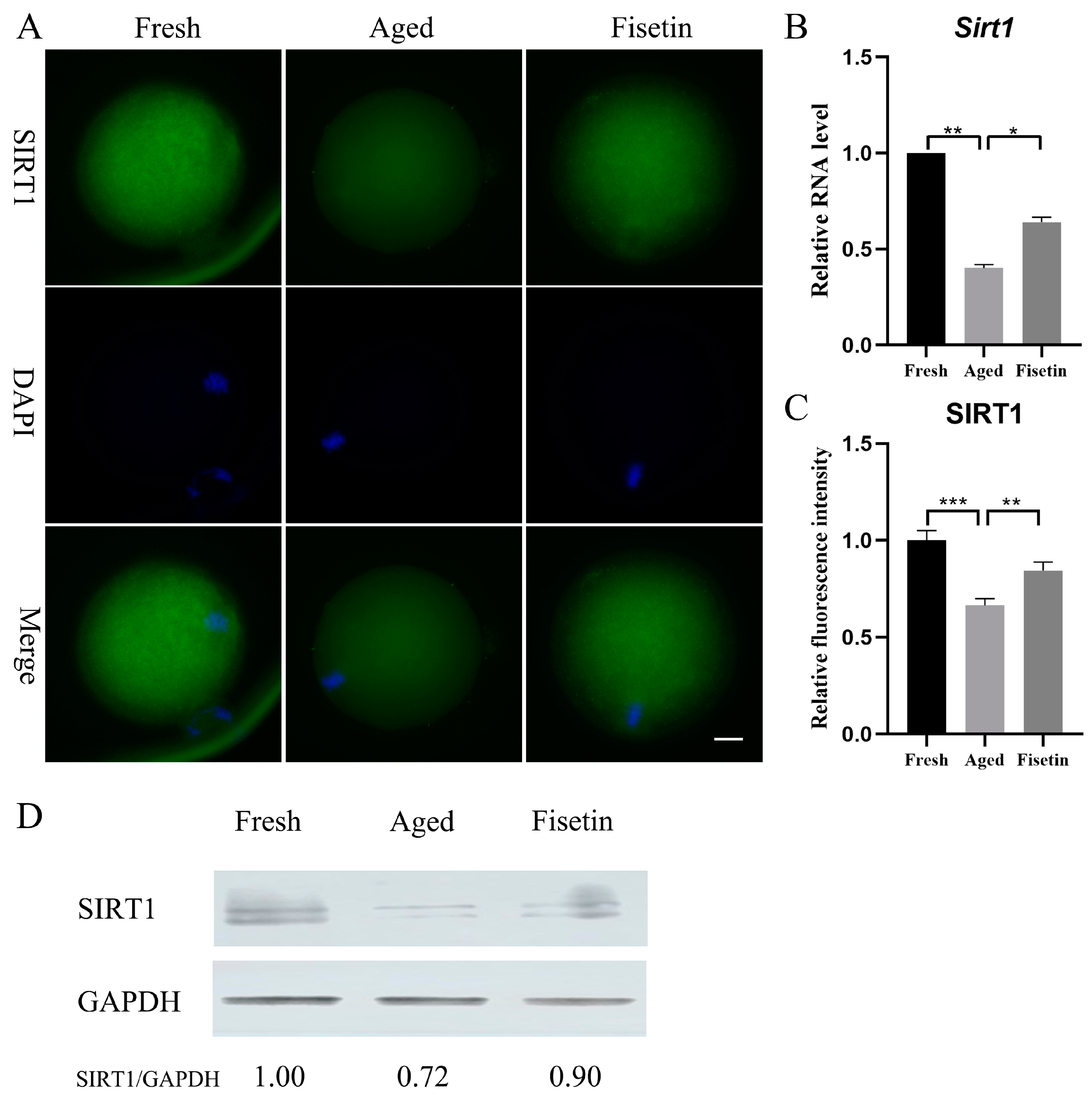Molecules 28 05533 g002
