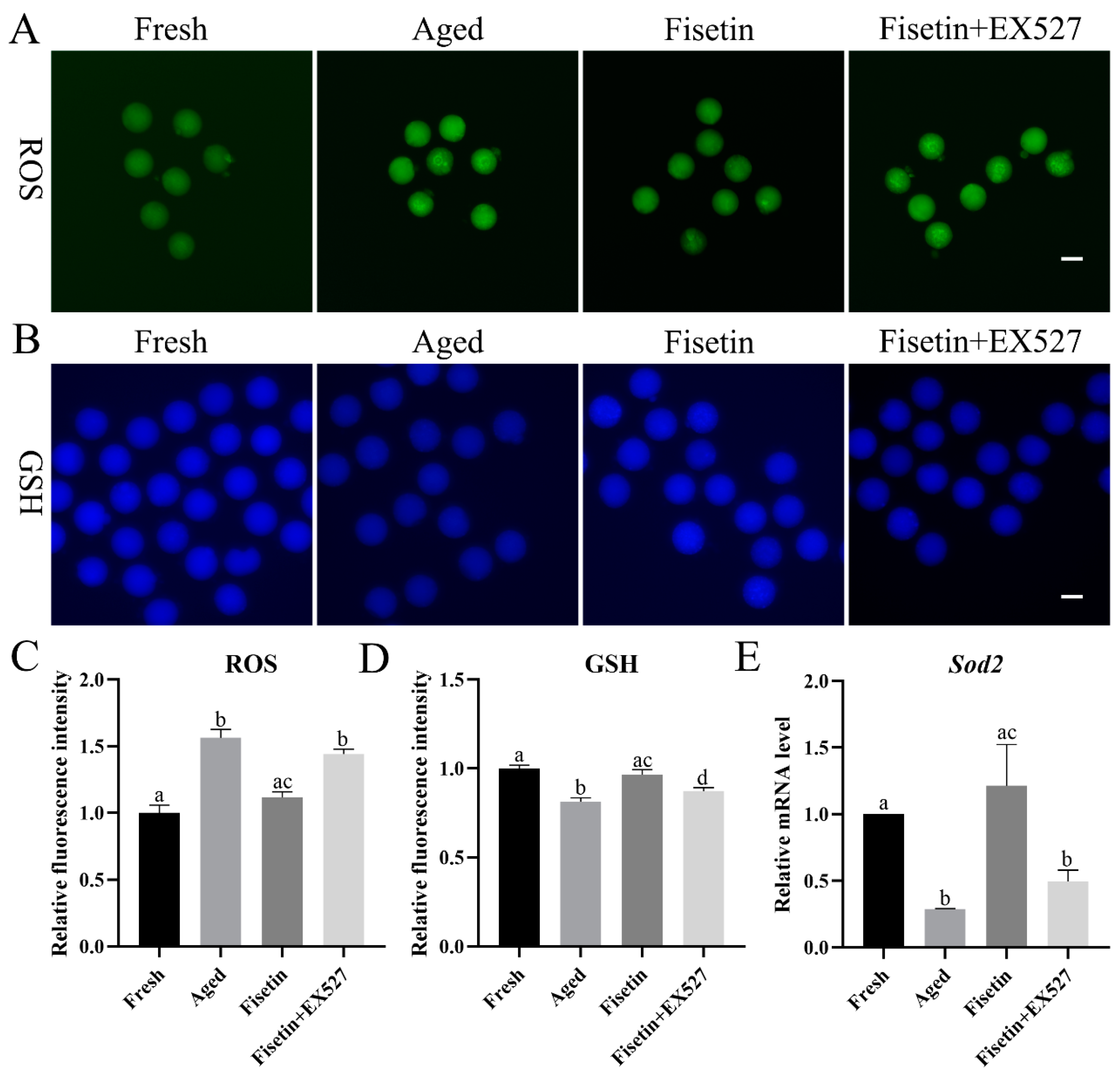 Molecules 28 05533 g003