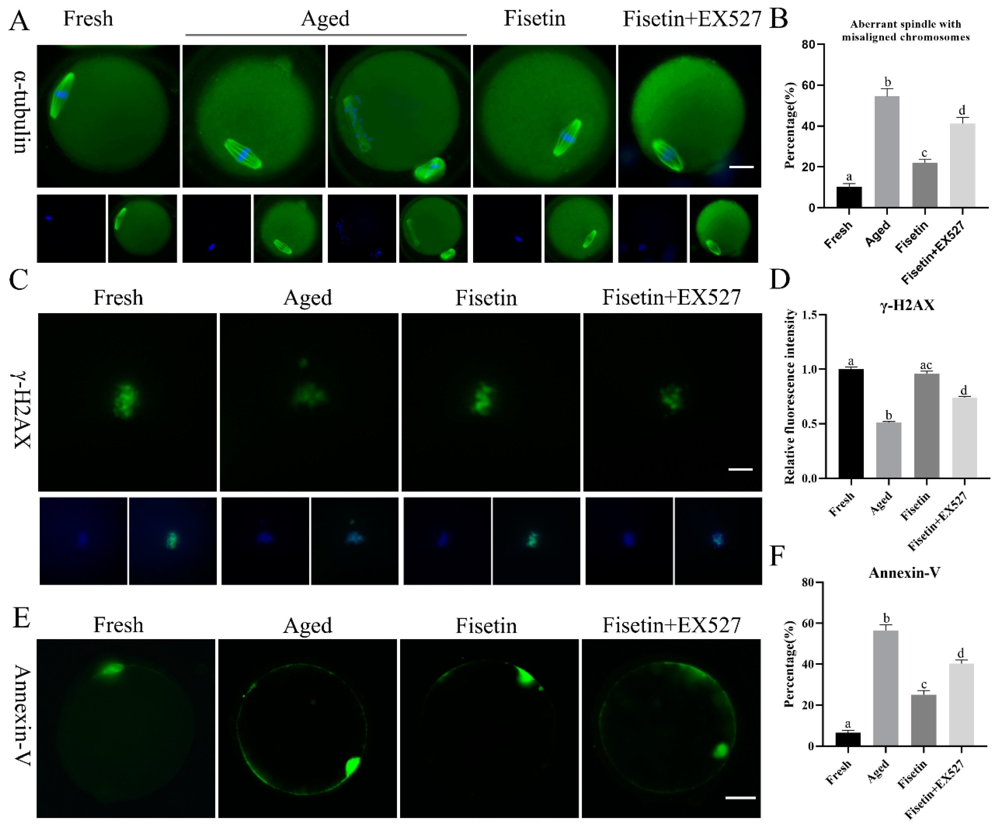 Molecules 28 05533 g004