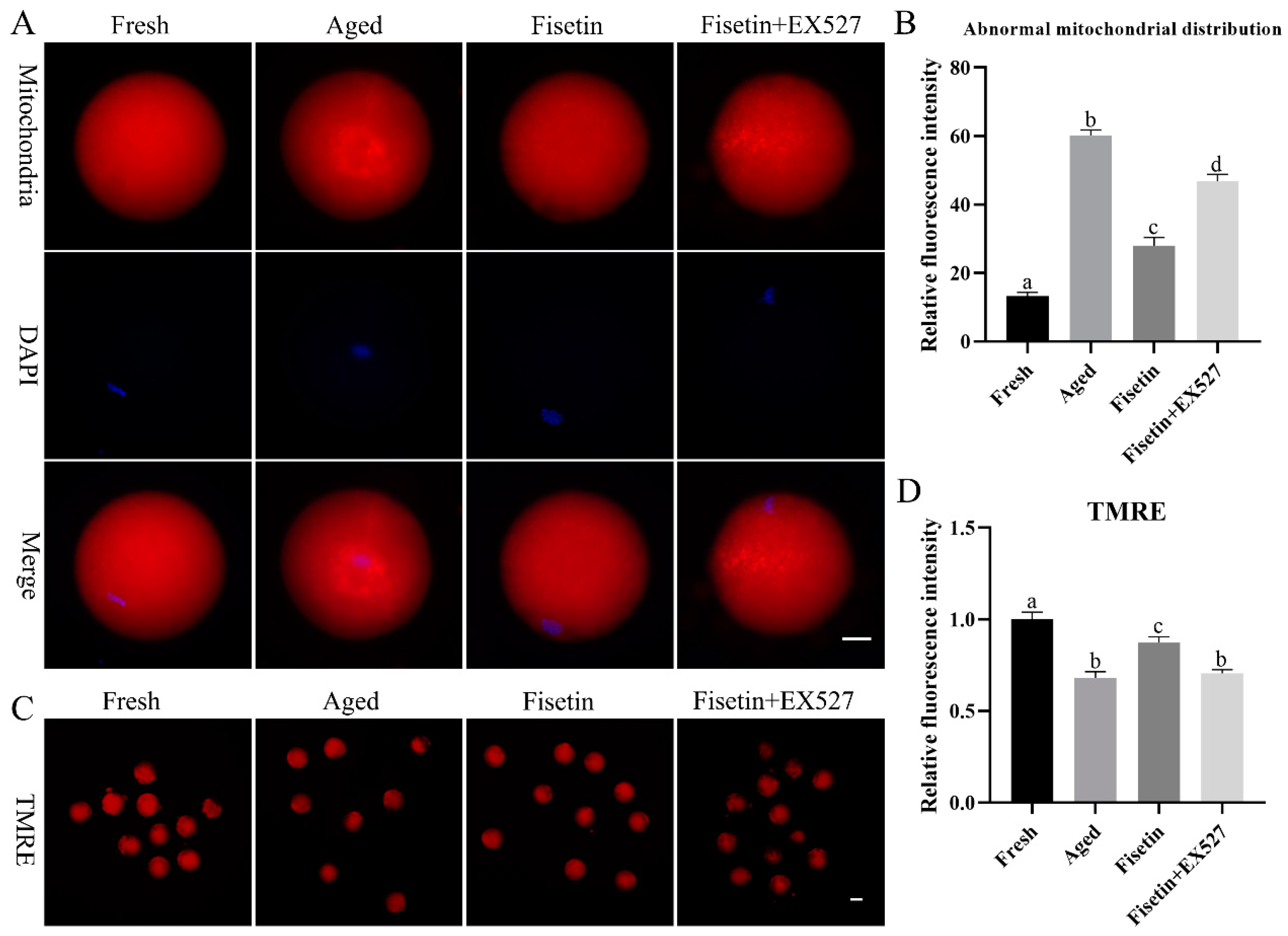 Molecules 28 05533 g005