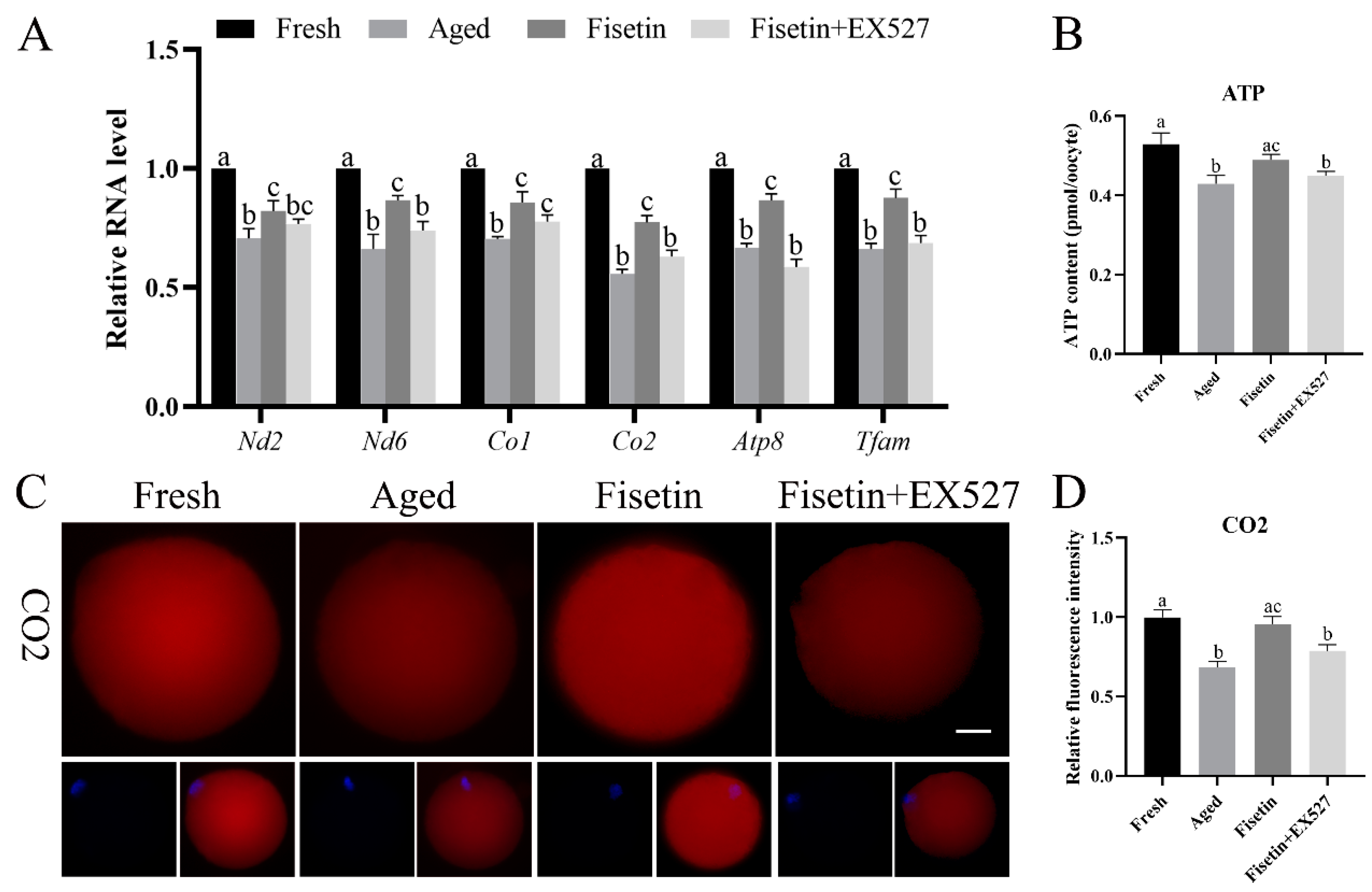 Molecules 28 05533 g006a