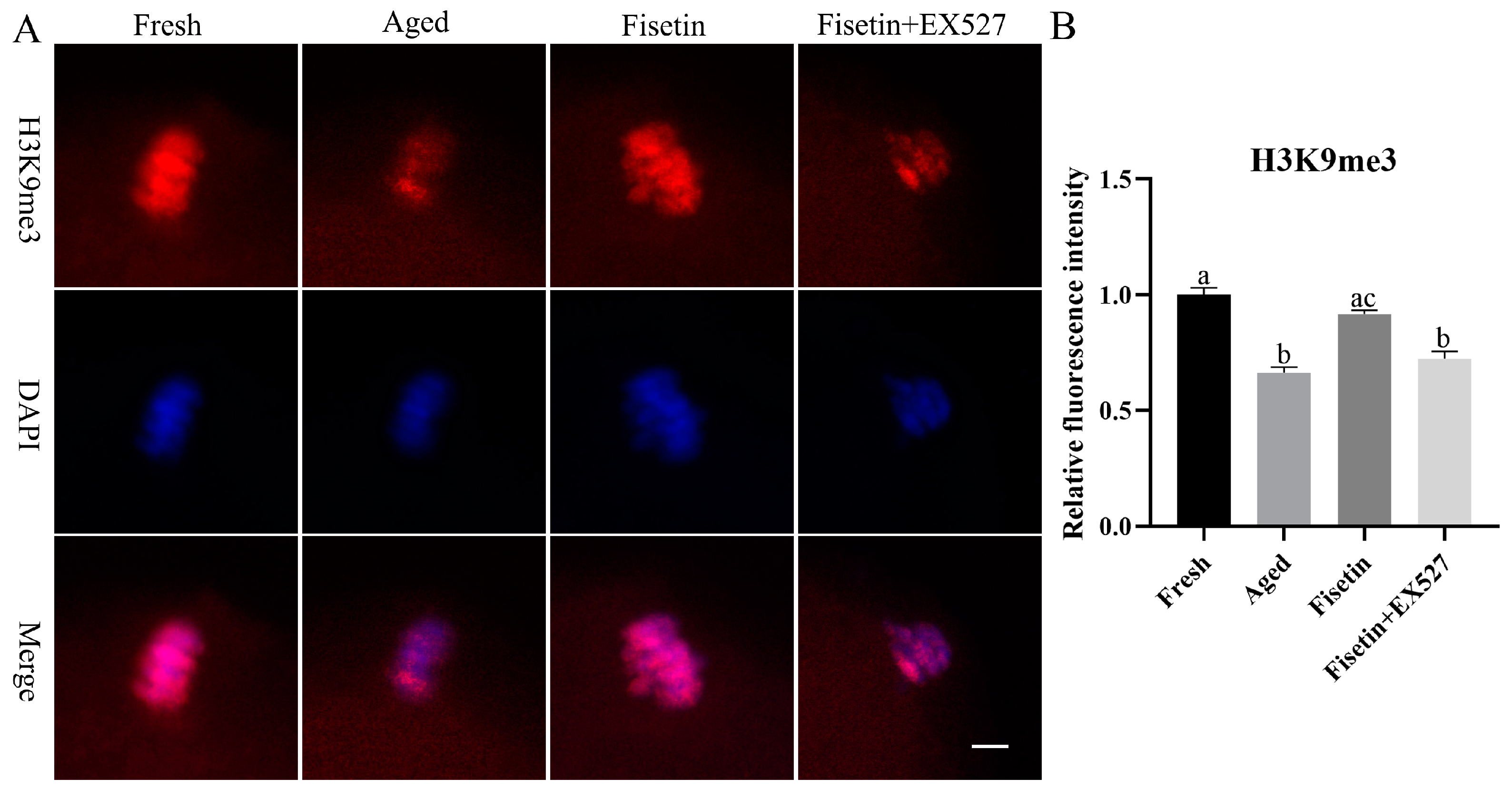 Molecules 28 05533 g007
