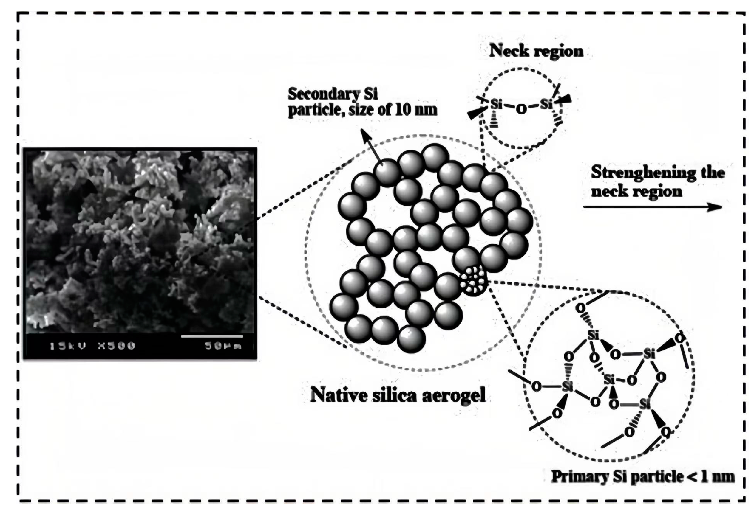 Molecules 28 05534 g004 Molecules 28 05534 g004