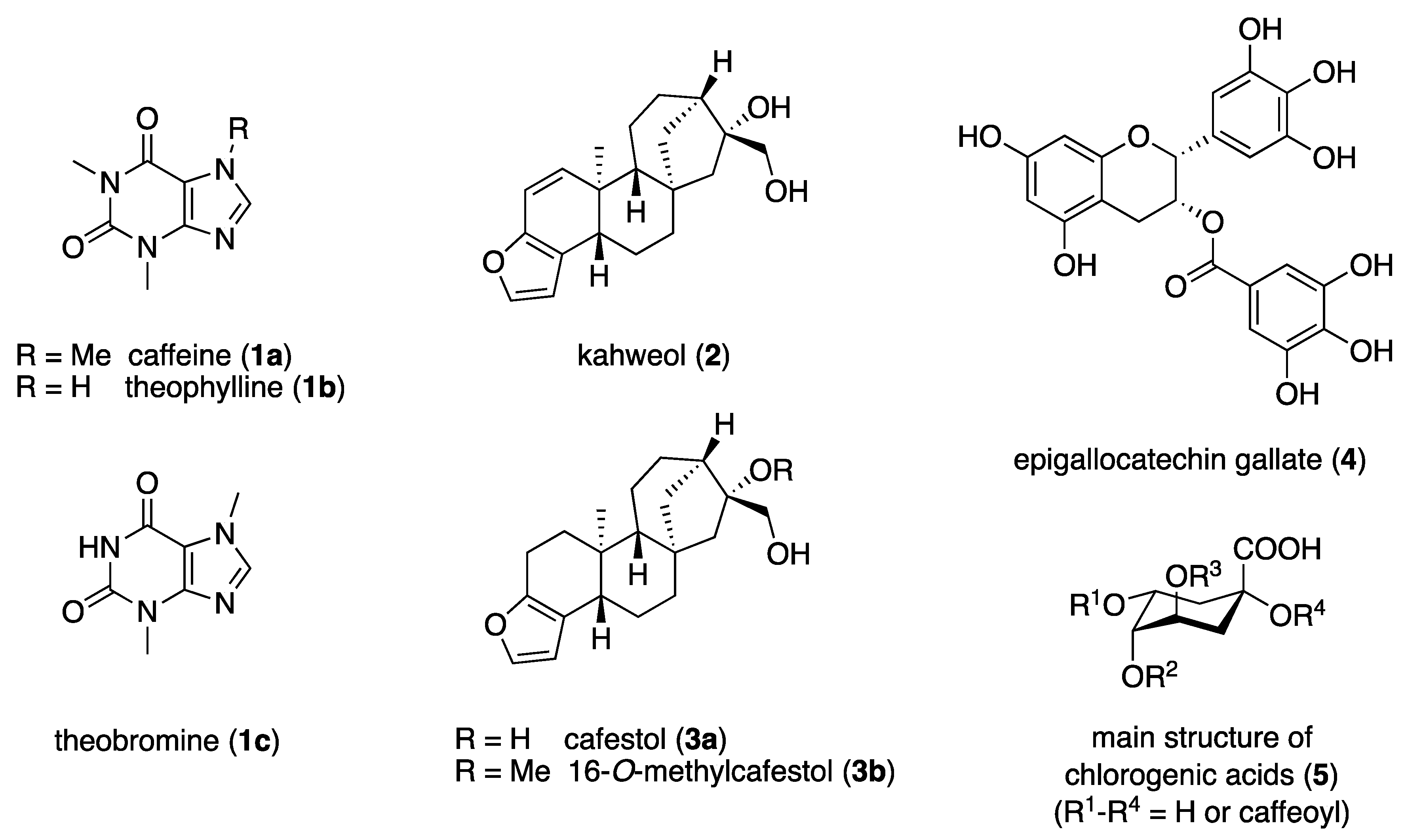 Molecules 28 05540 g001