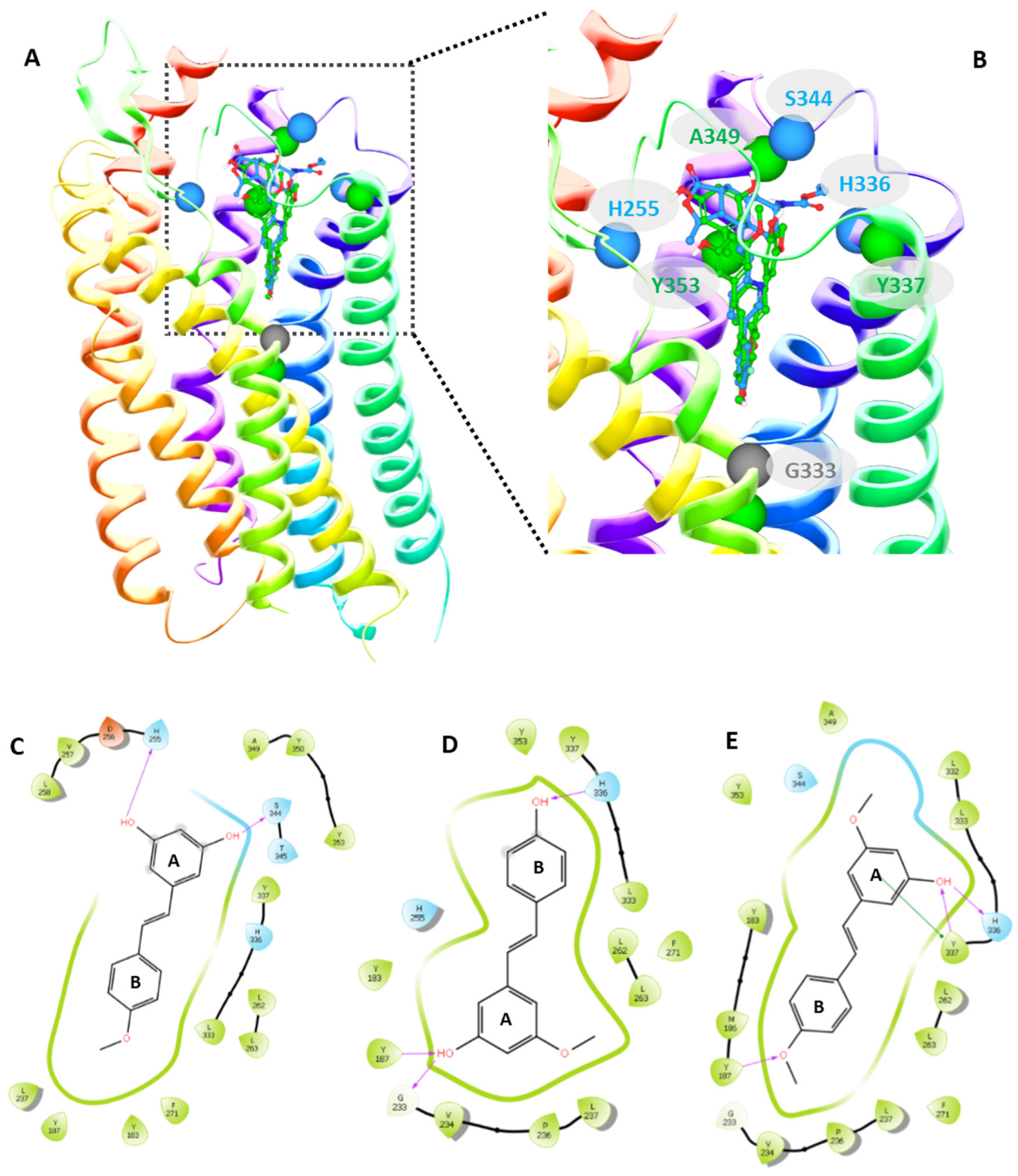 Molecules 28 05547 g002 Molecules 28 05547 g002