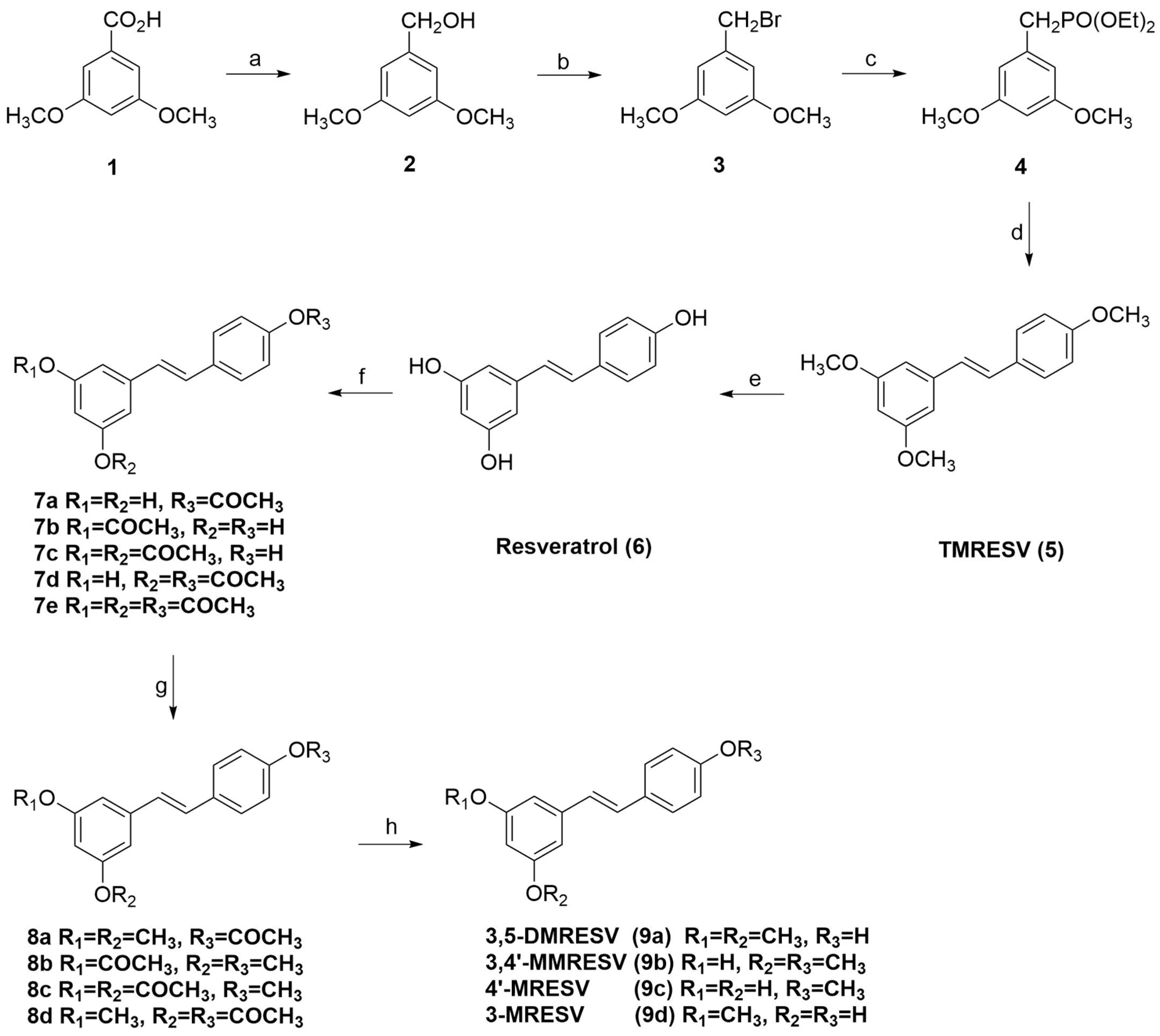 Molecules 28 05547 sch001 Molecules 28 05547 sch001