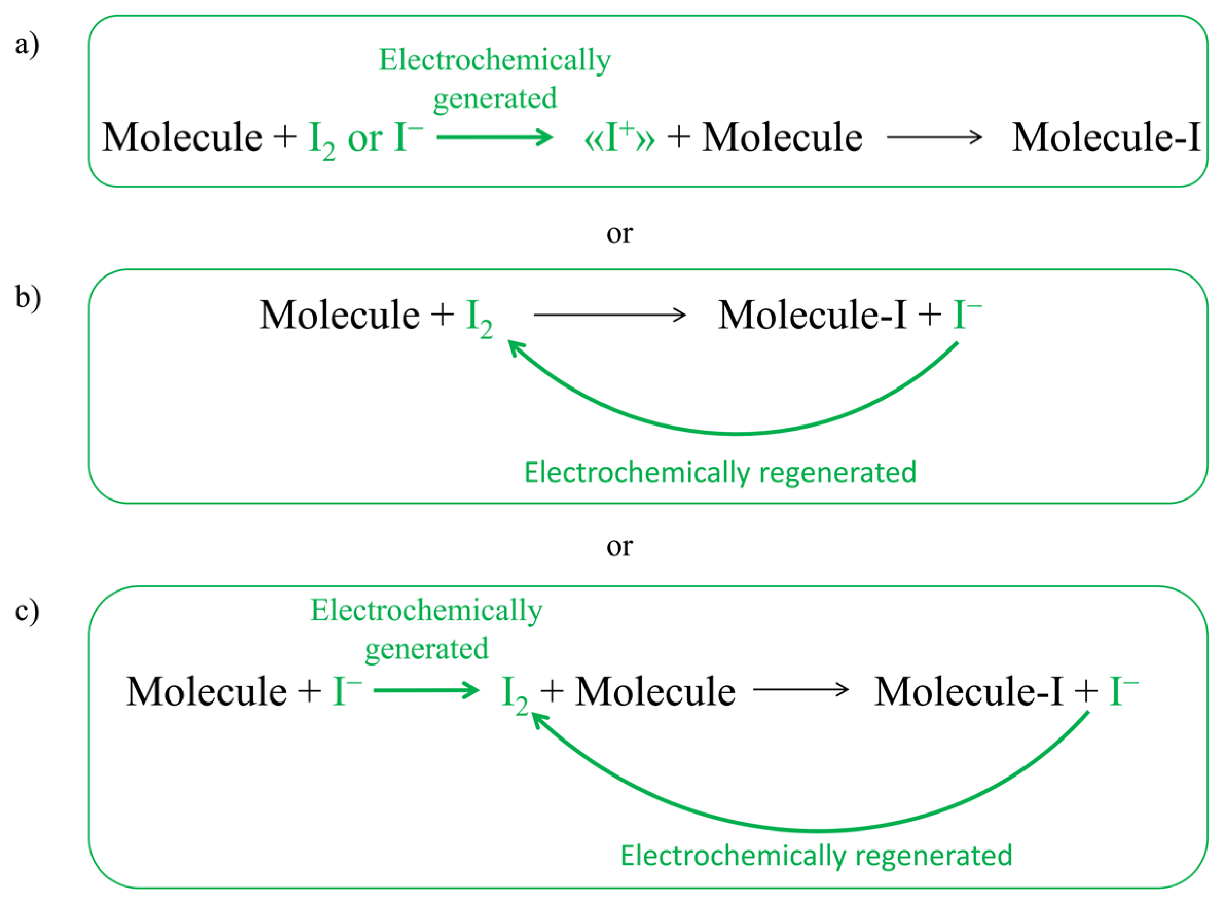 Molecules 28 05555 g001