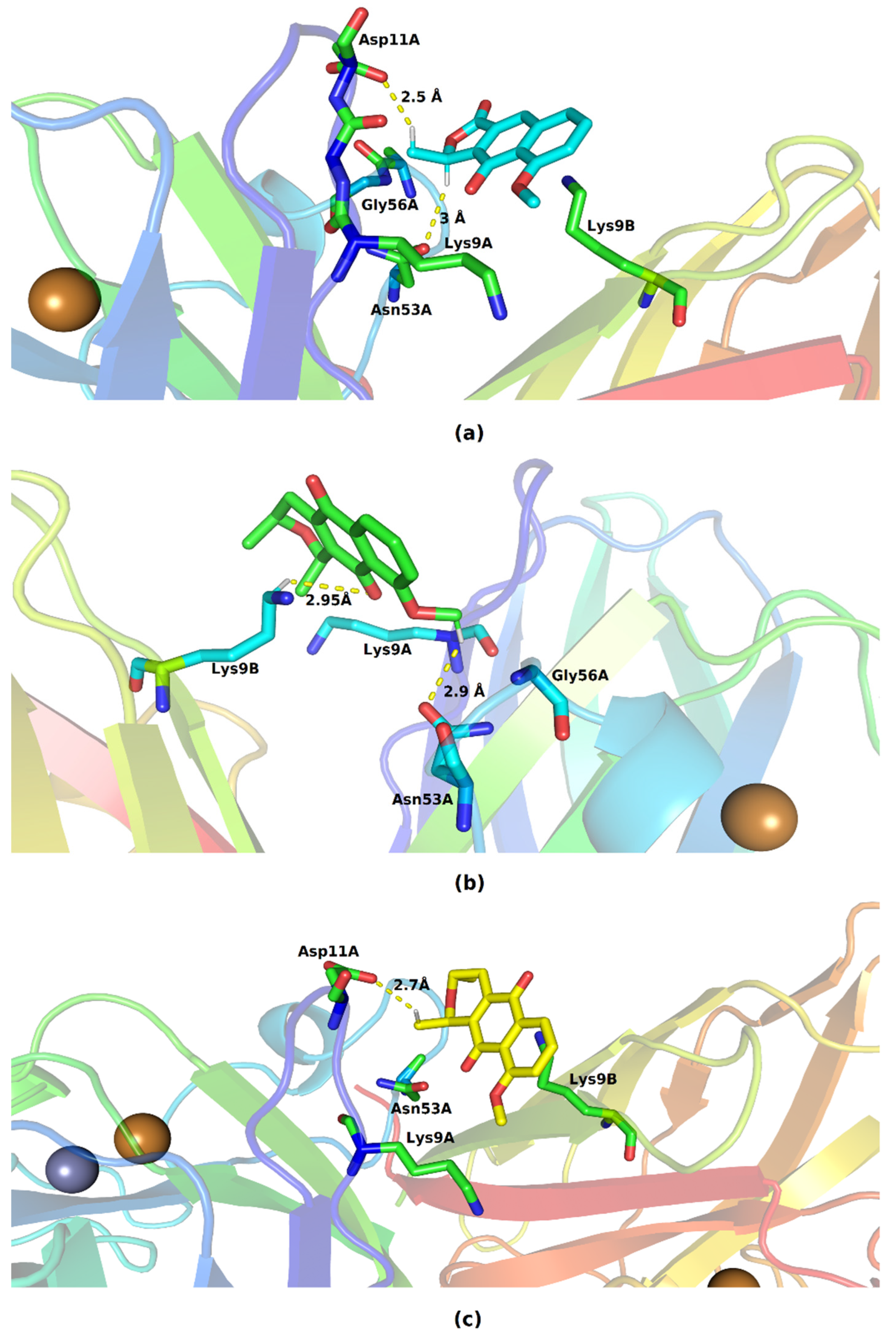 Molecules 28 05557 g006