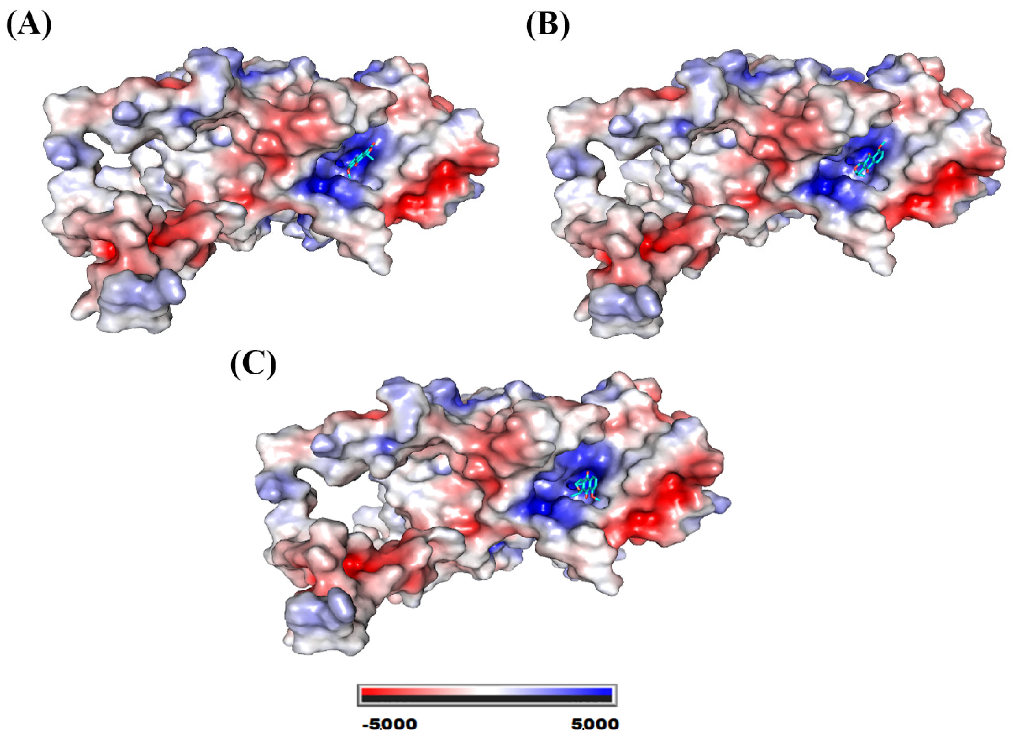 Molecules 28 05557 g007