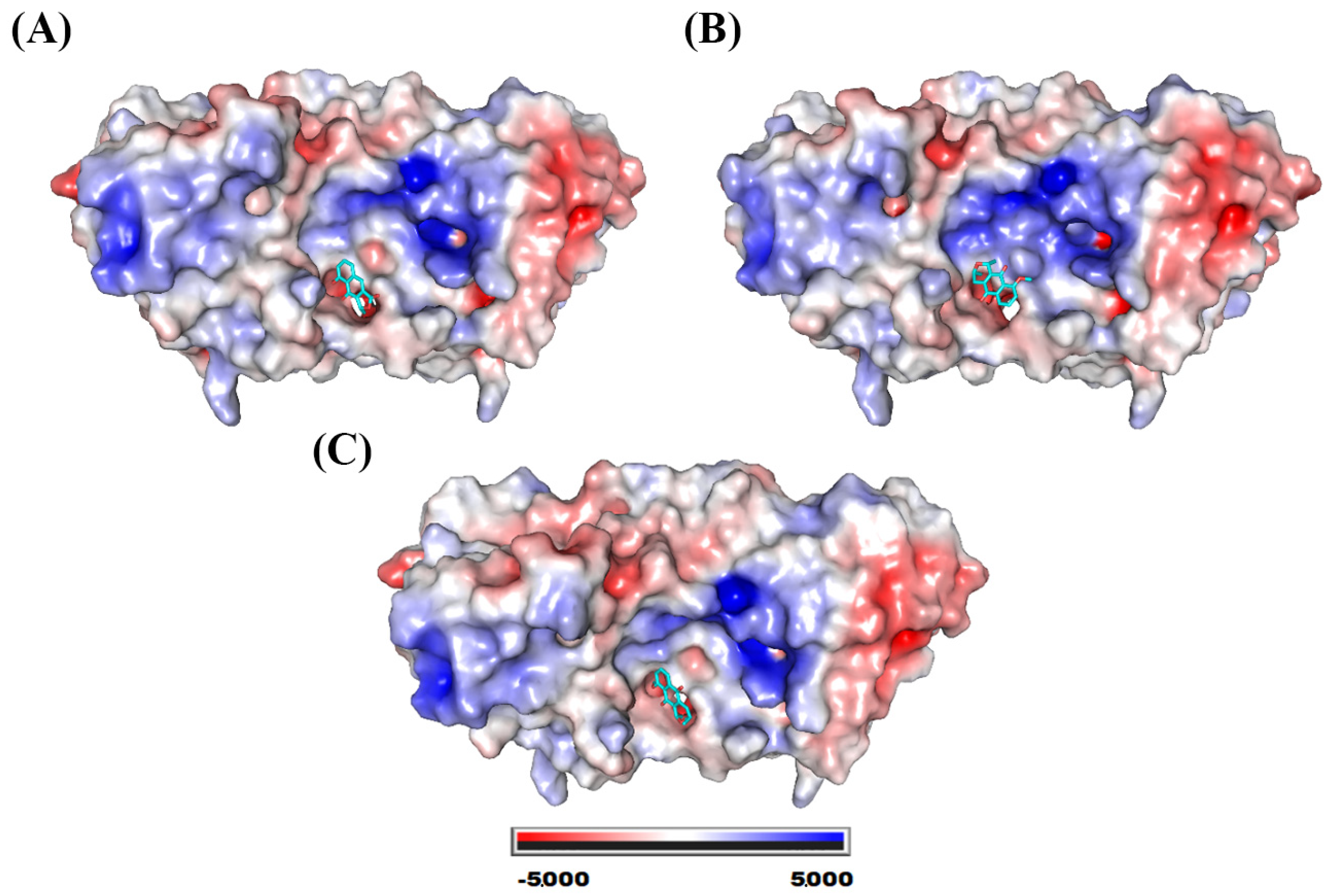 Molecules 28 05557 g009