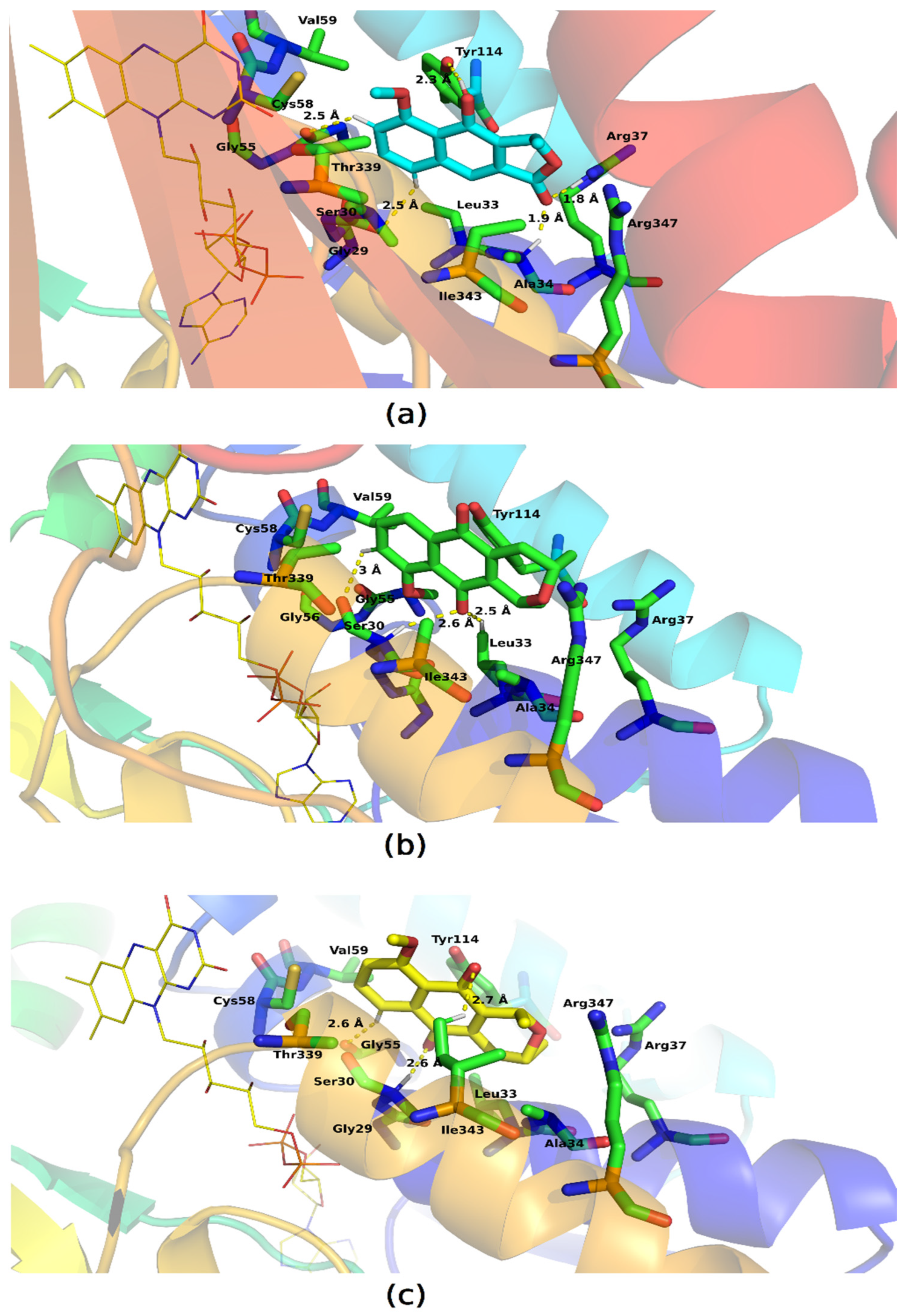 Molecules 28 05557 g012