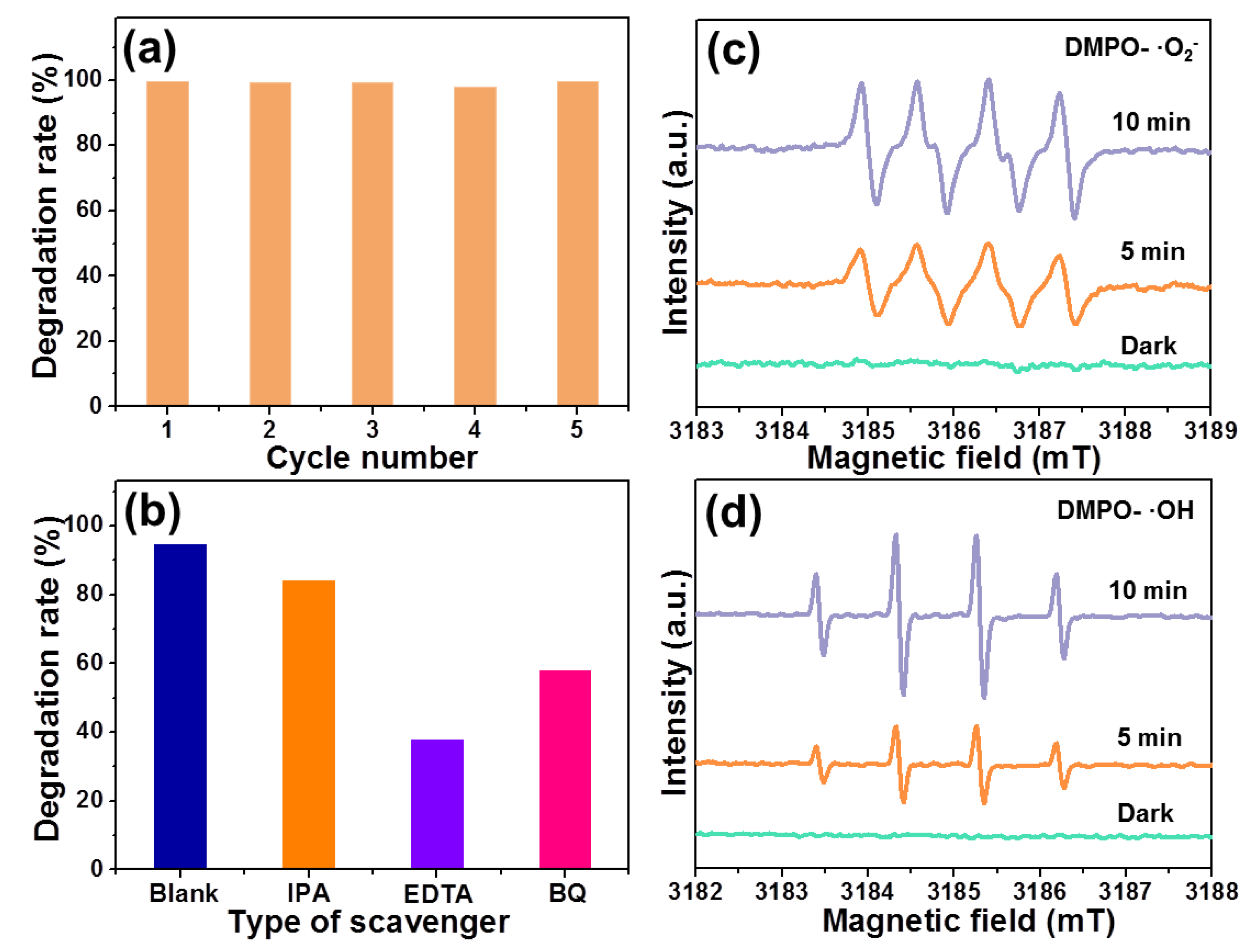 Molecules 28 05558 g008