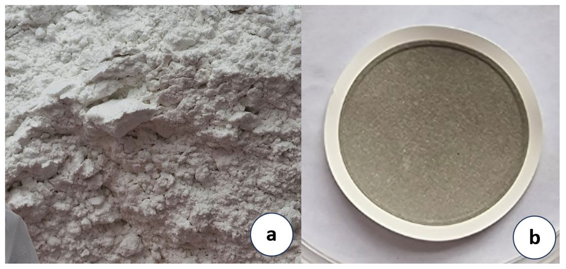 Molecules 28 05559 g007