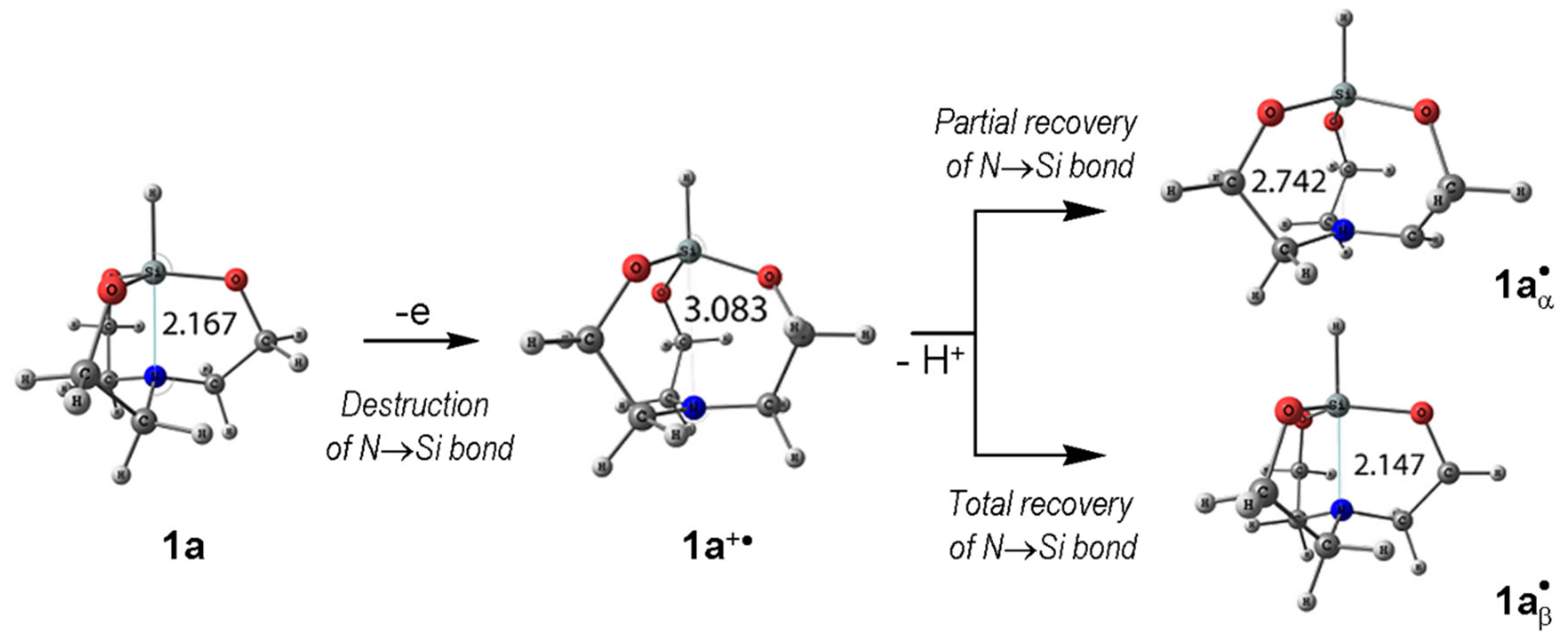 Molecules 28 05561 g011 Molecules 28 05561 g011