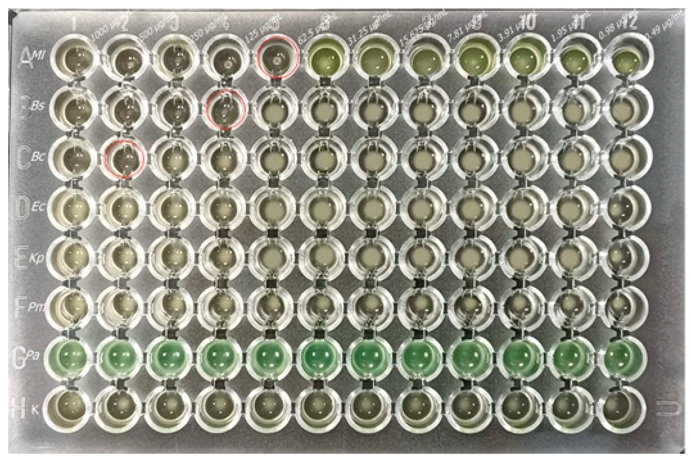 Molecules 28 05562 g001 Molecules 28 05562 g001
