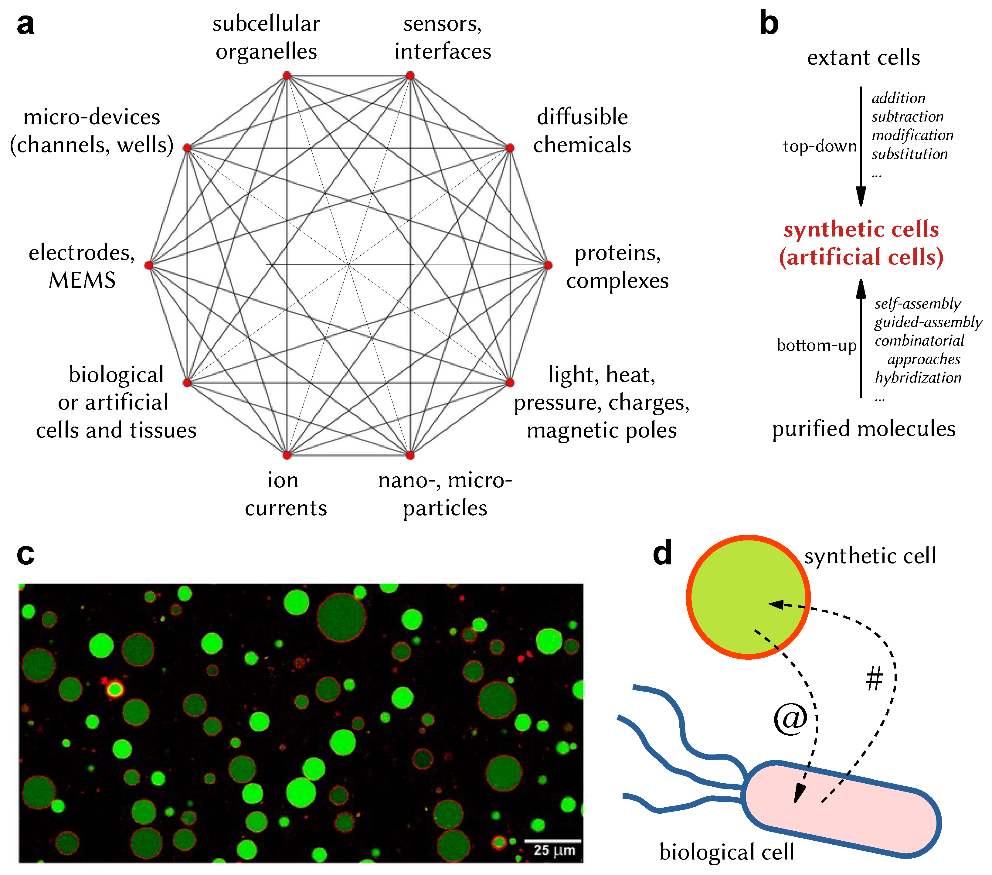 Molecules 28 05564 g001
