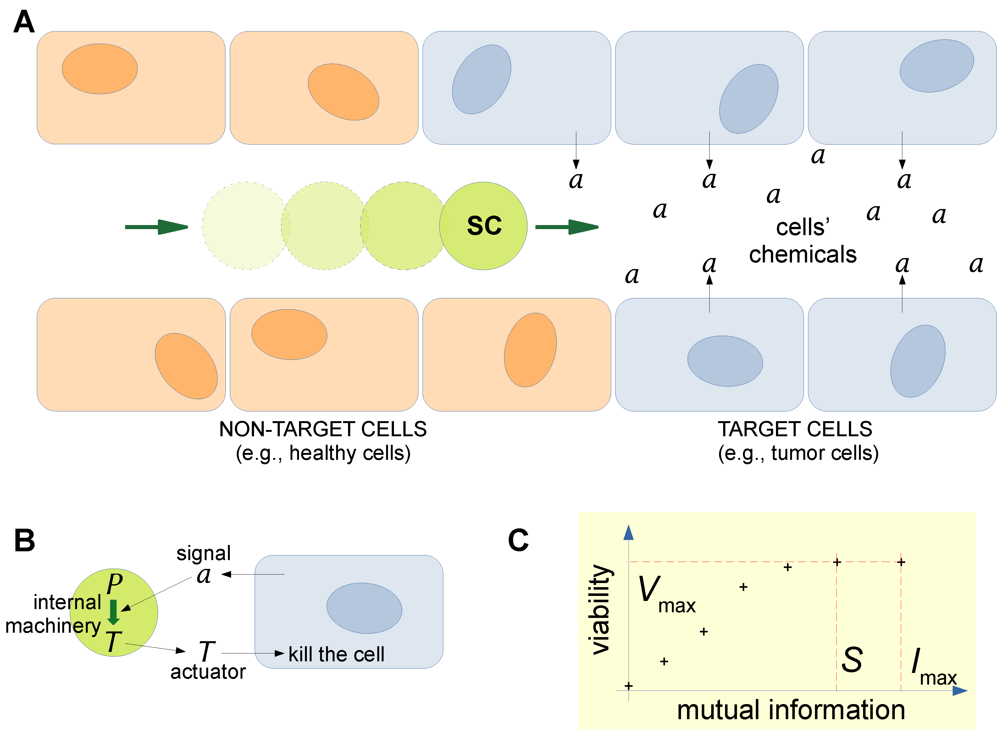Molecules 28 05564 g004