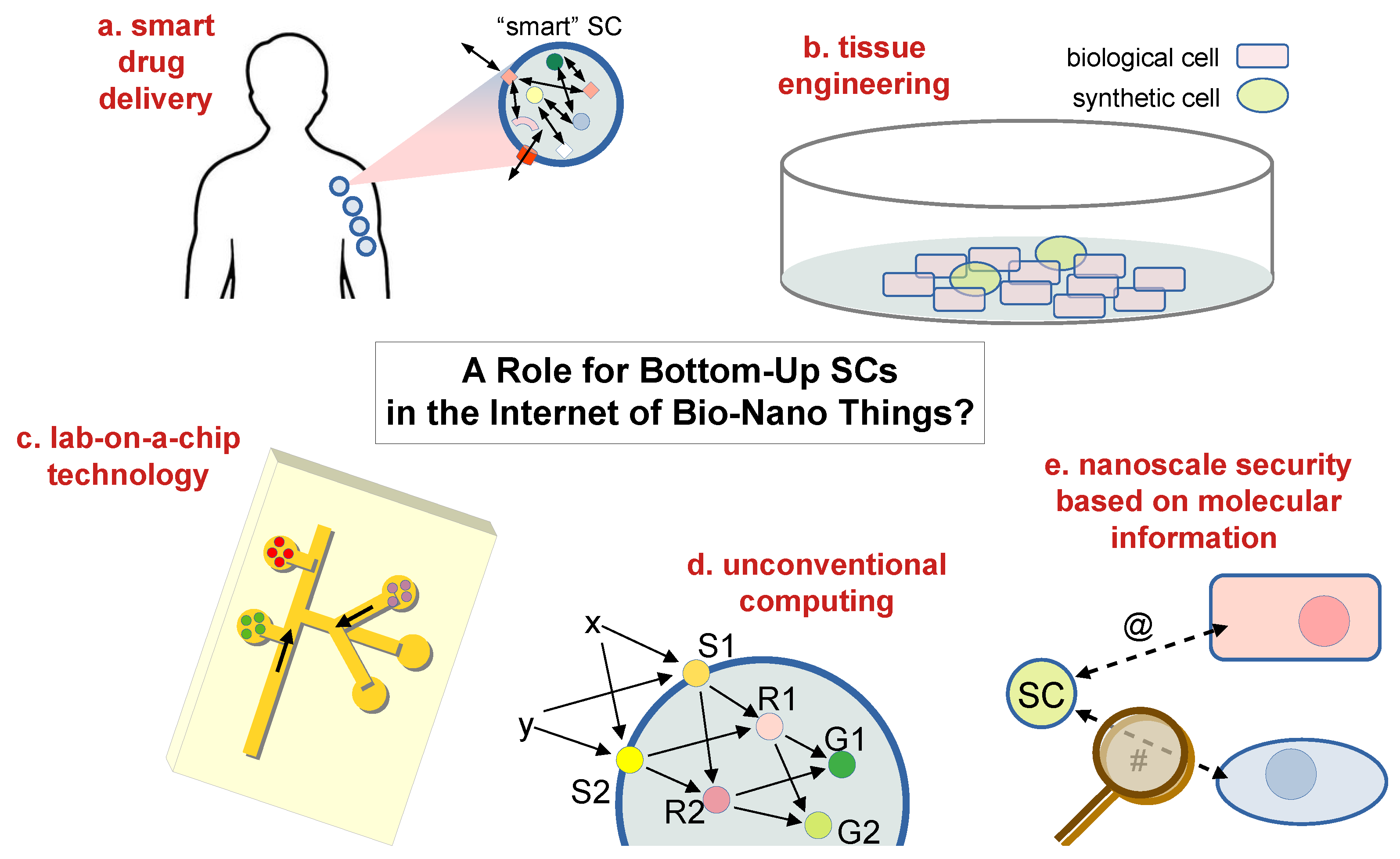 Molecules 28 05564 g006