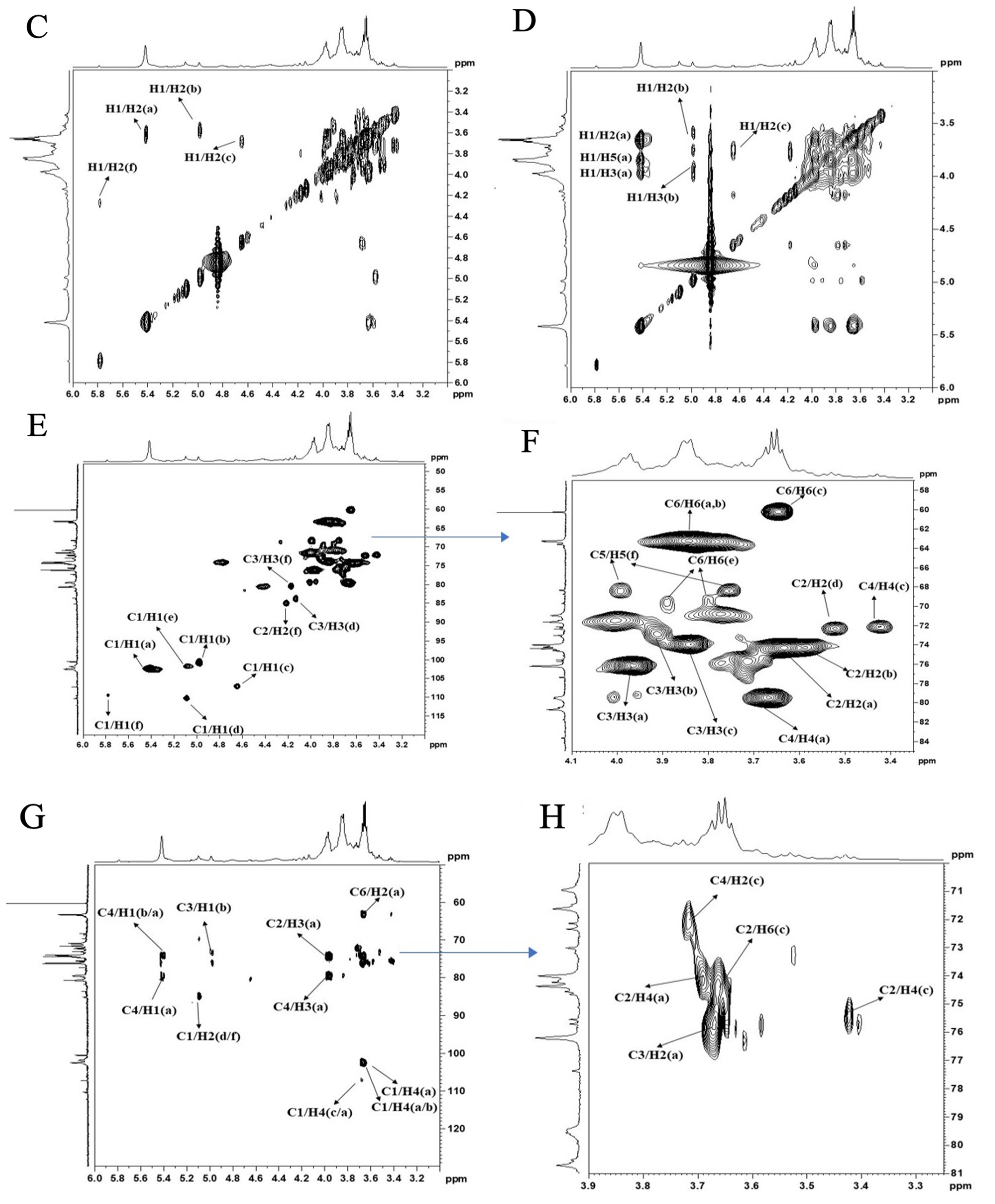 Molecules 28 05566 g003b Molecules 28 05566 g003b