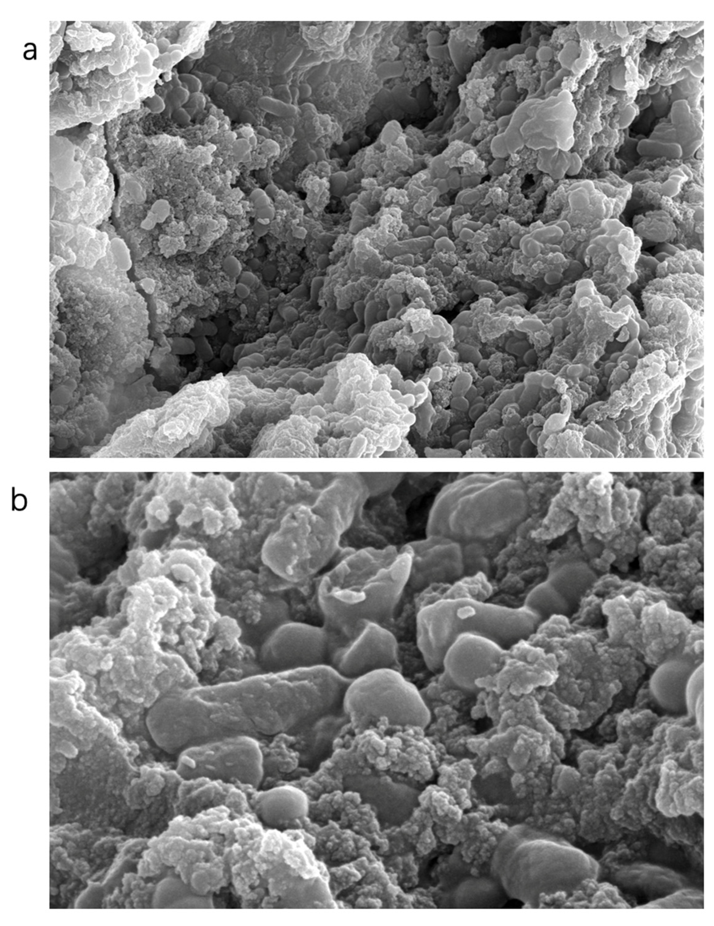 Molecules 28 05566 g004 Molecules 28 05566 g004