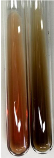 Molecules 28 05572 i001 Molecules 28 05572 i001