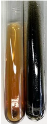 Molecules 28 05572 i003 Molecules 28 05572 i003