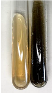 Molecules 28 05572 i015 Molecules 28 05572 i015