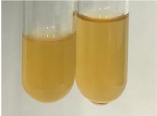 Molecules 28 05572 i177 Molecules 28 05572 i177