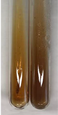 Molecules 28 05572 i701 Molecules 28 05572 i701